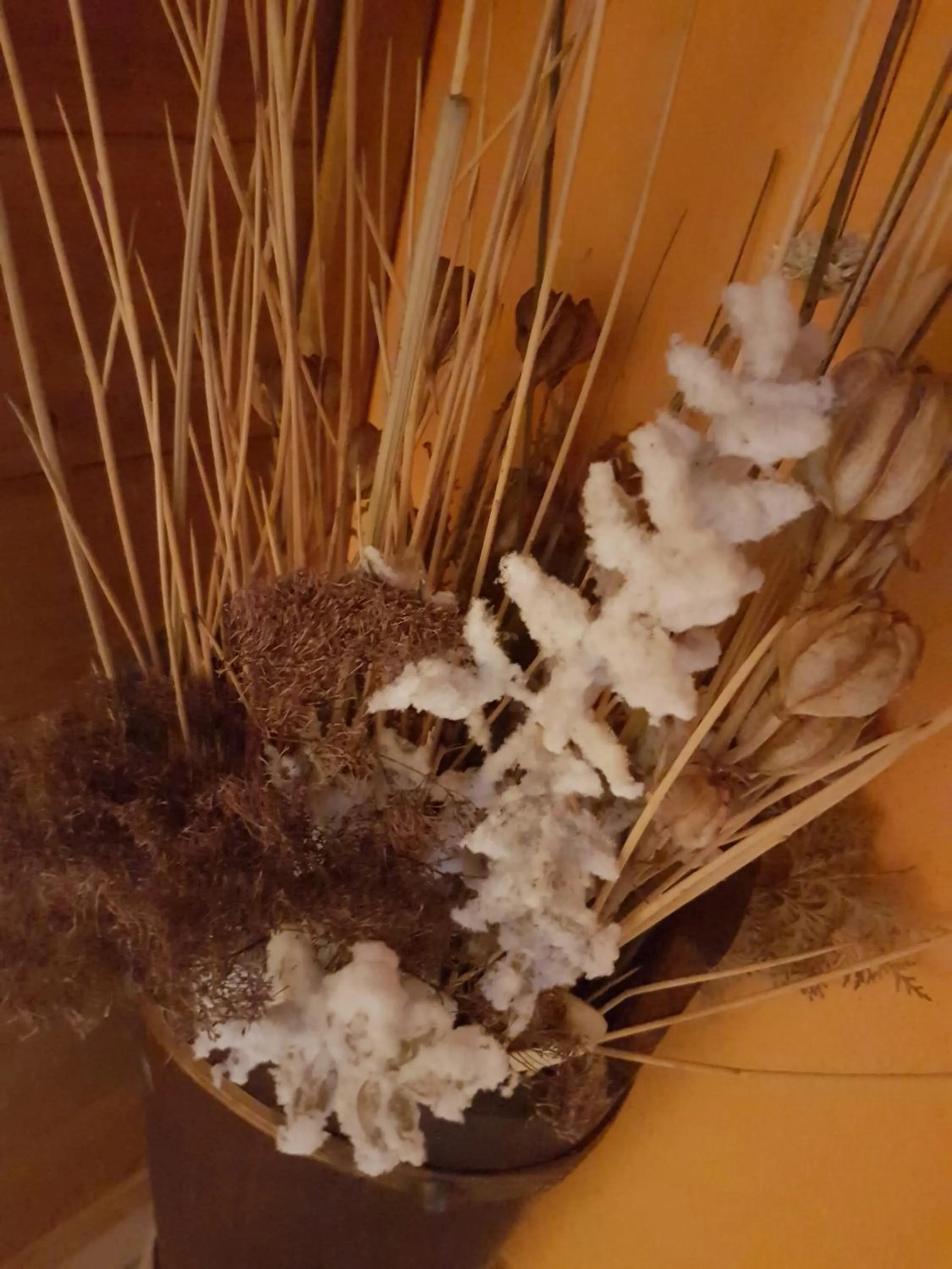 Other in Le Chalet del Pollino