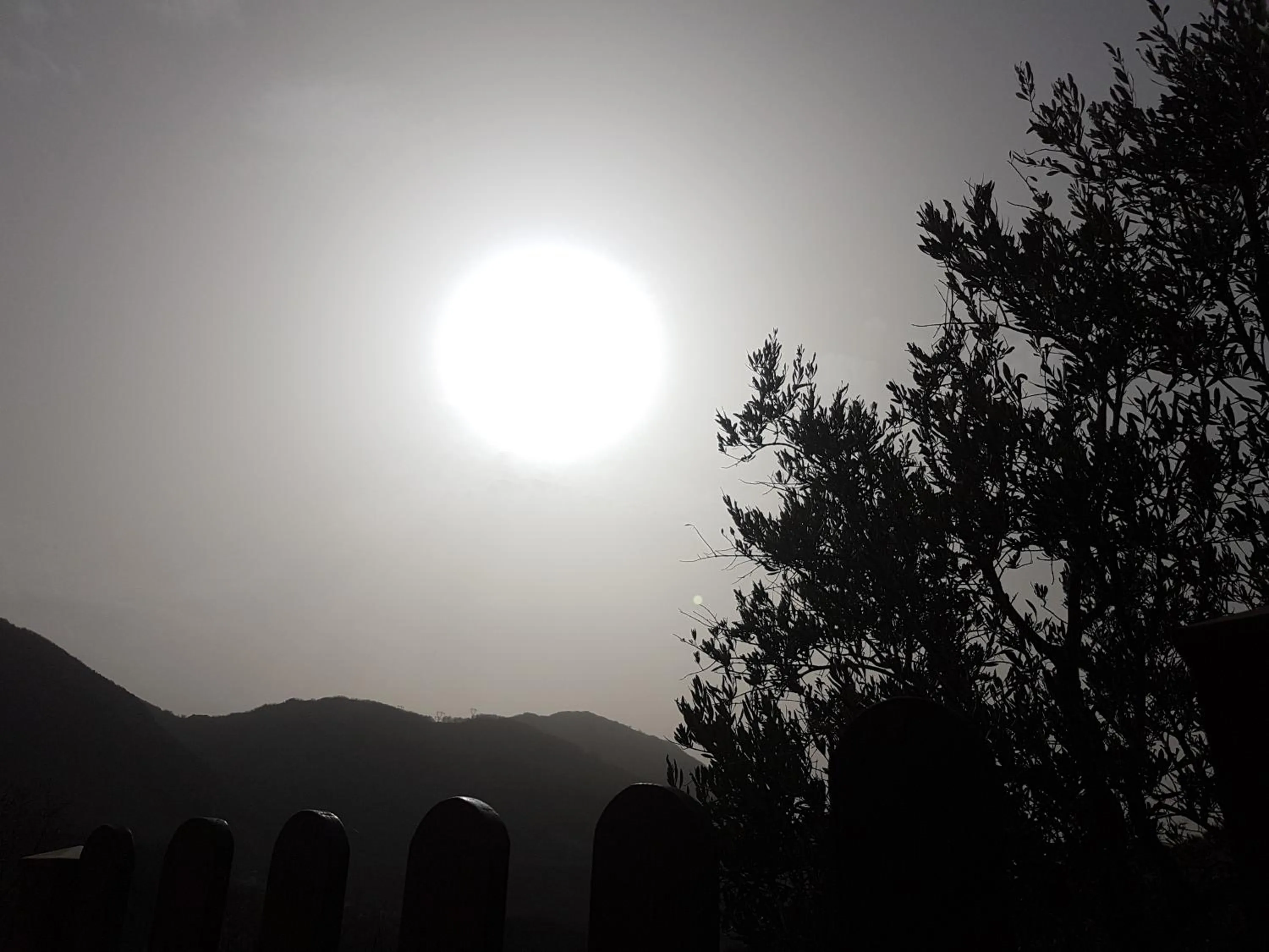 Natural landscape in Le Chalet del Pollino