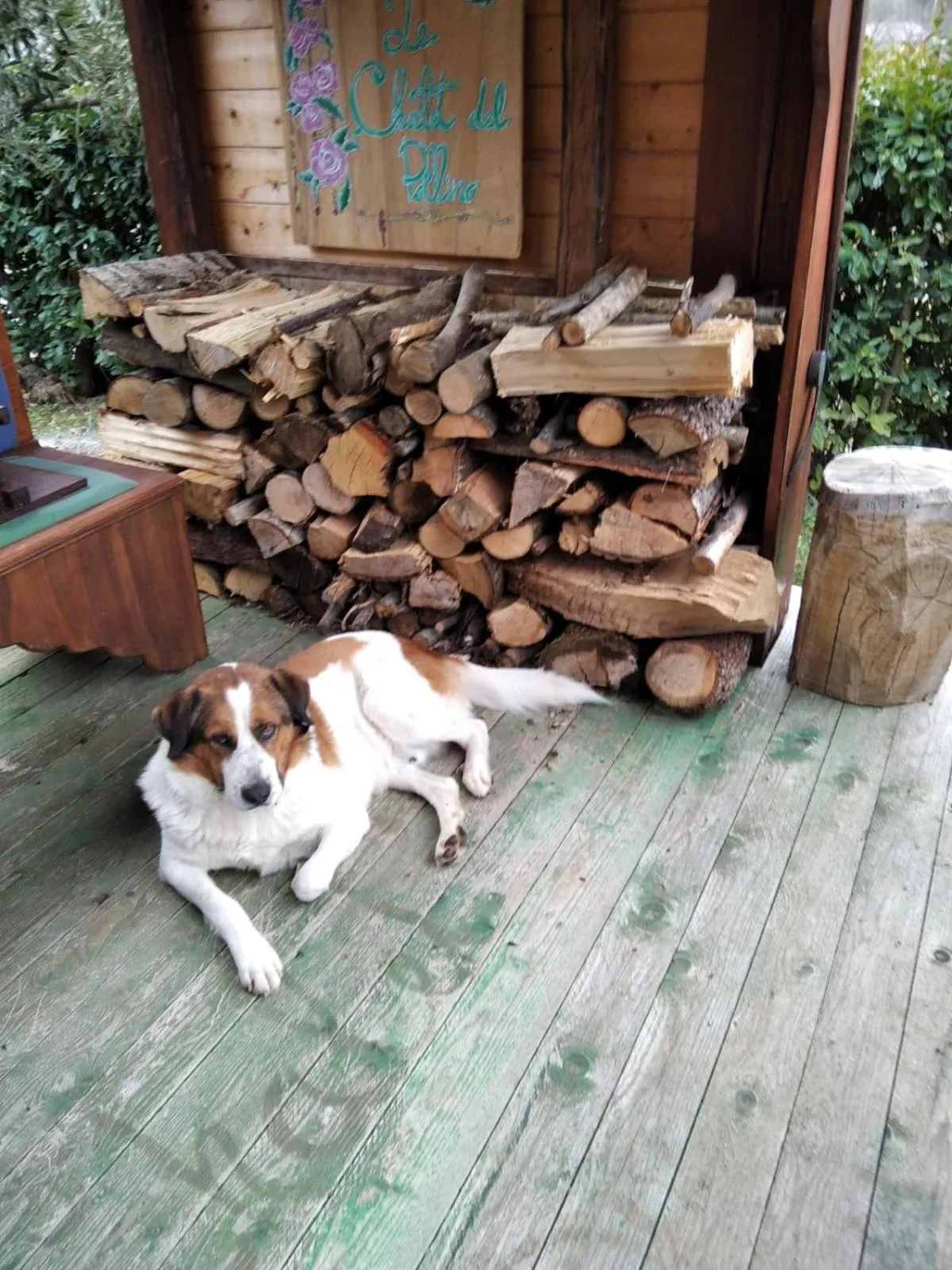 Animals in Le Chalet del Pollino