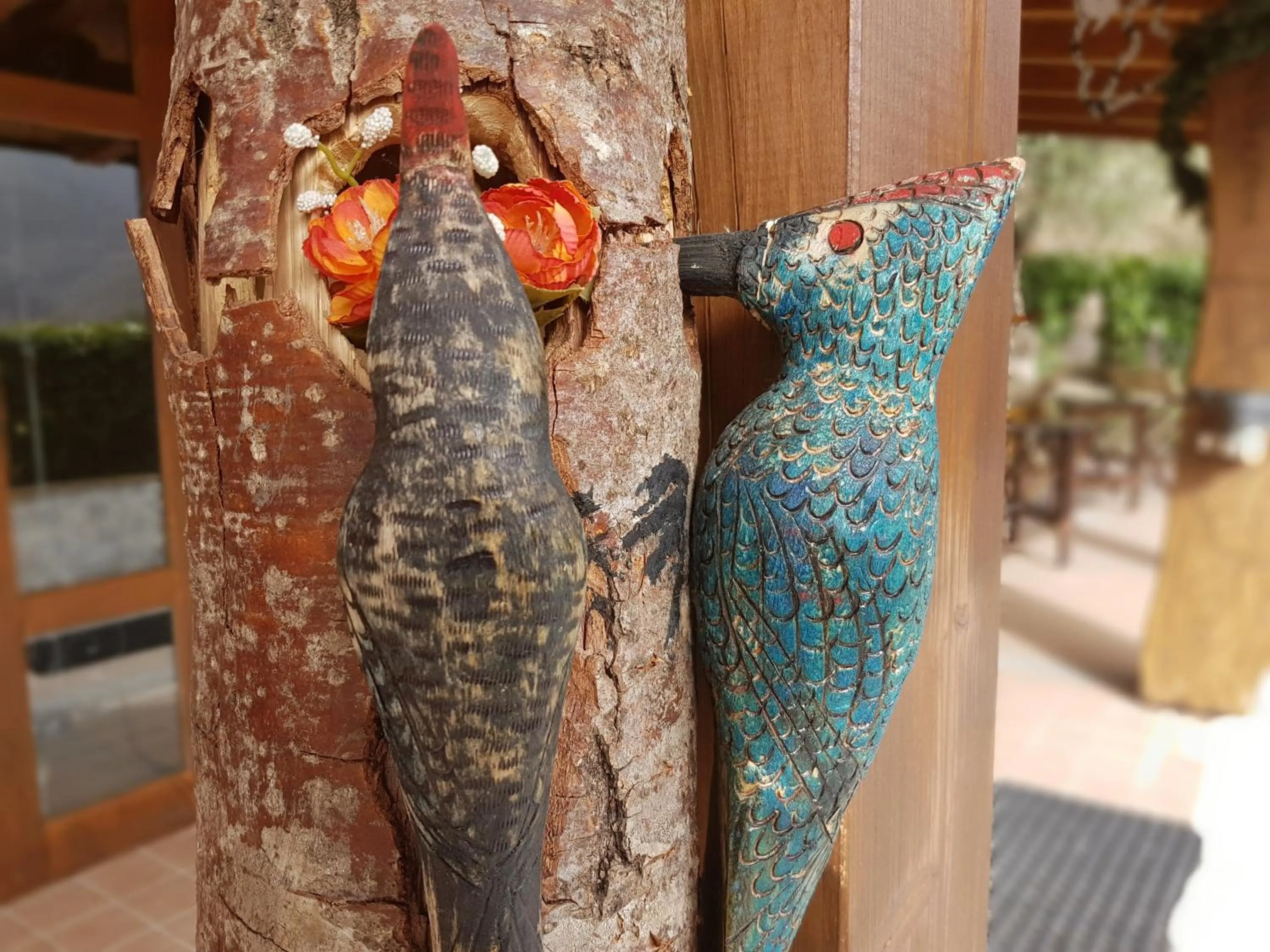 Animals in Le Chalet del Pollino