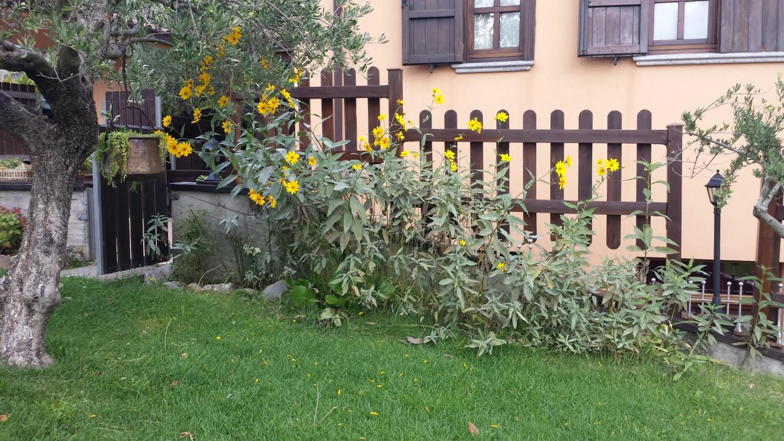 Property building in Le Chalet del Pollino