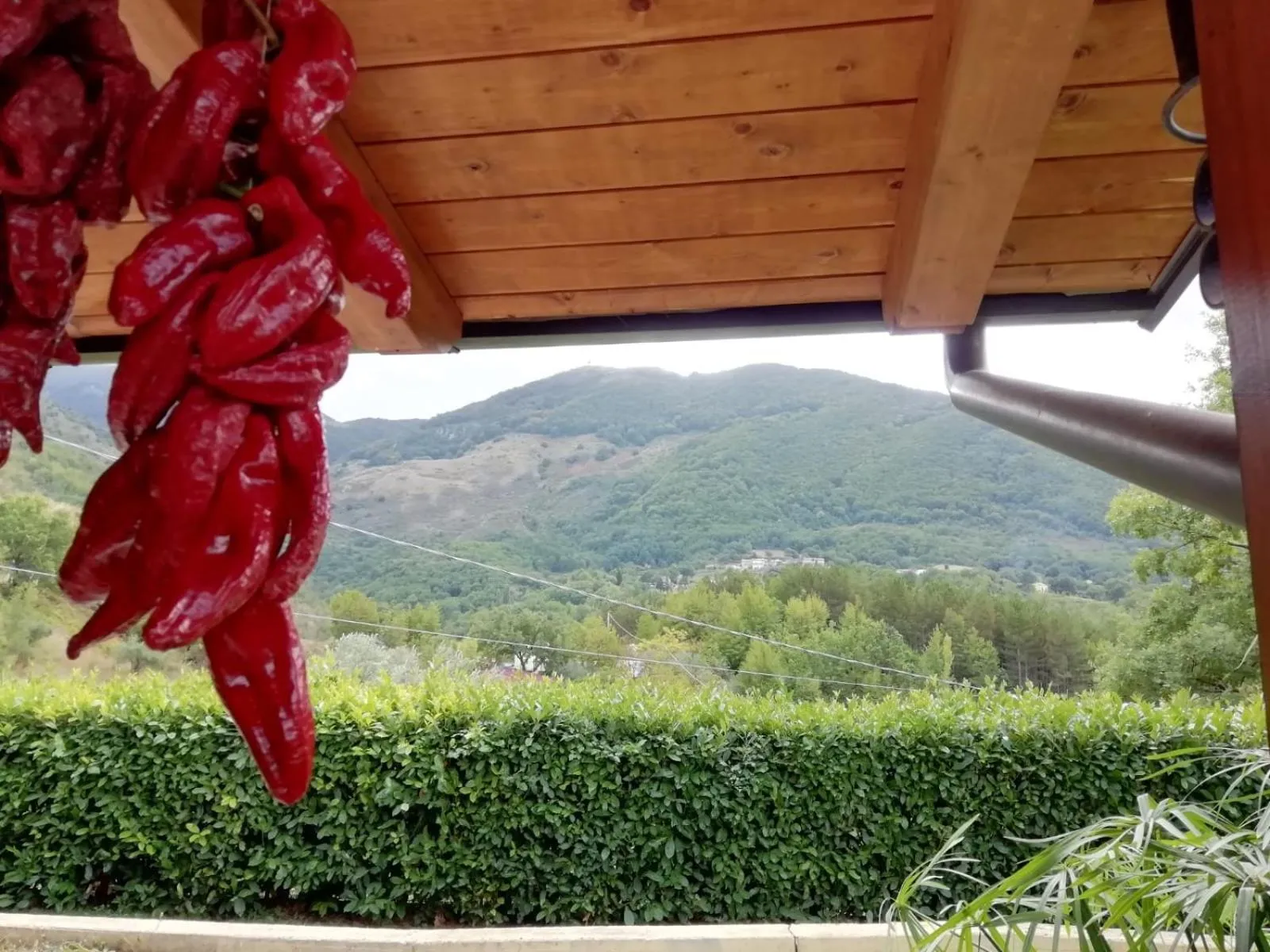 Mountain view in Le Chalet del Pollino