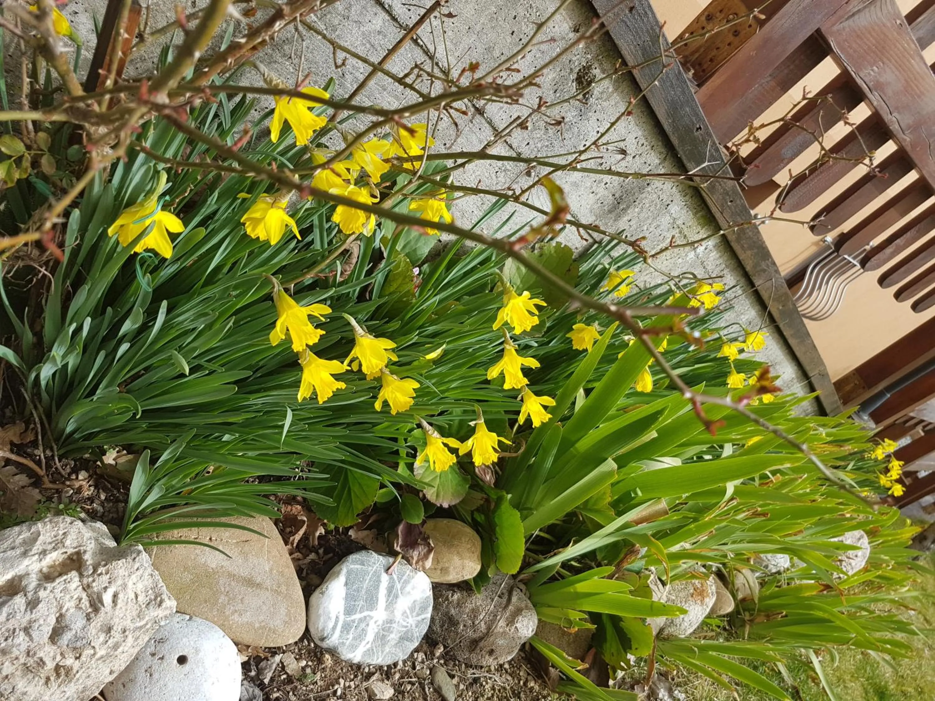 Floor plan in Le Chalet del Pollino