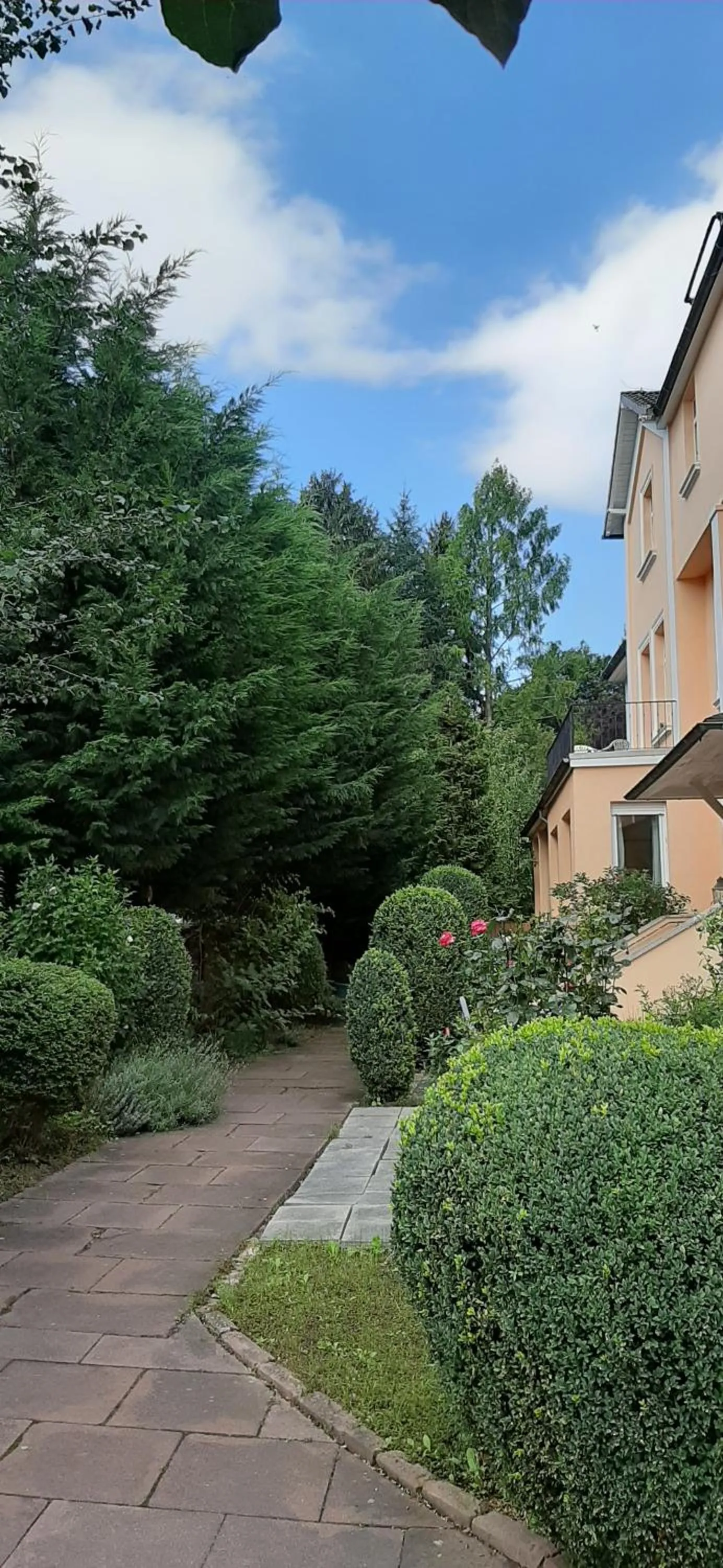 Garden in Hotel Carolinenhof