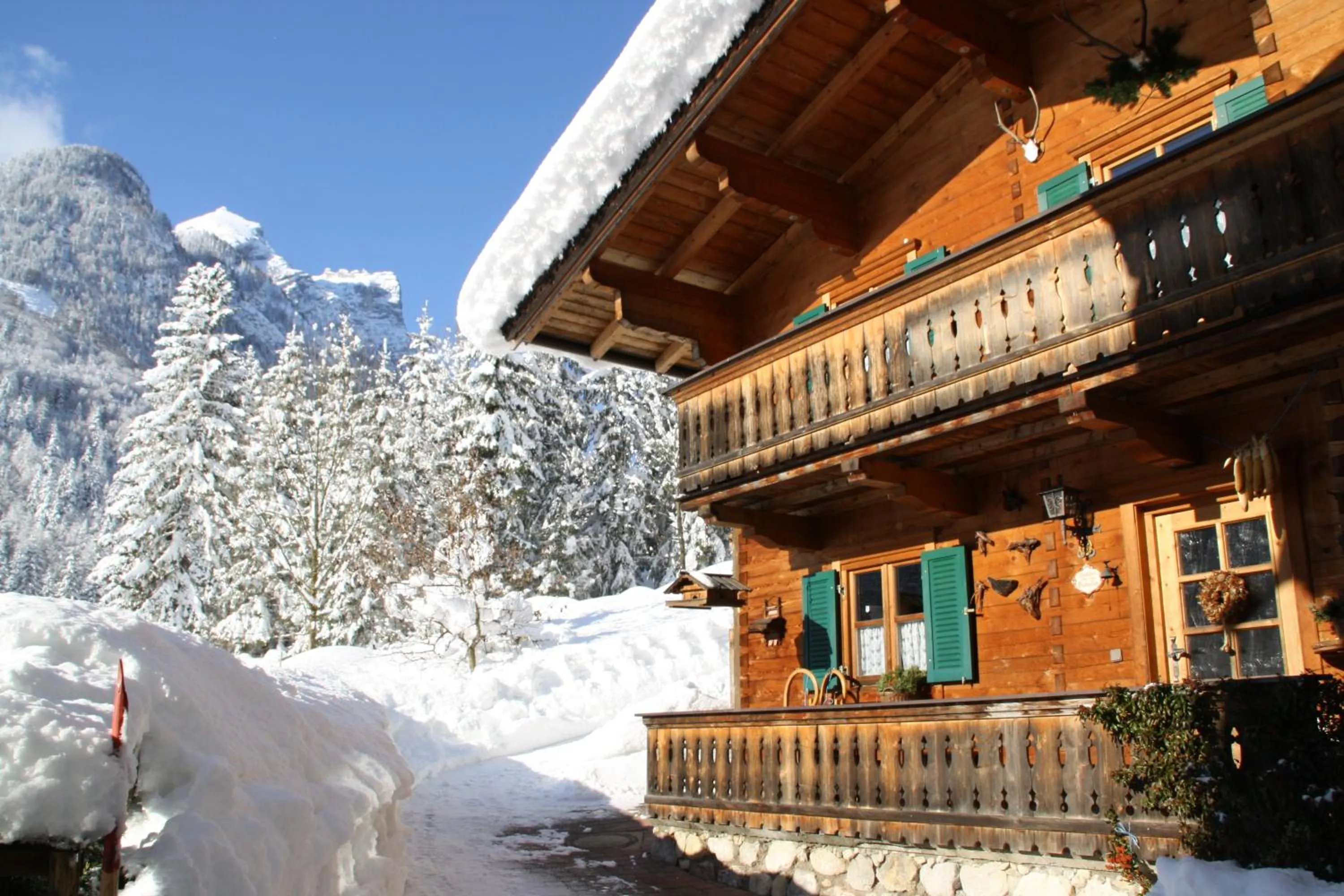 Area and facilities in Pension Sonneck