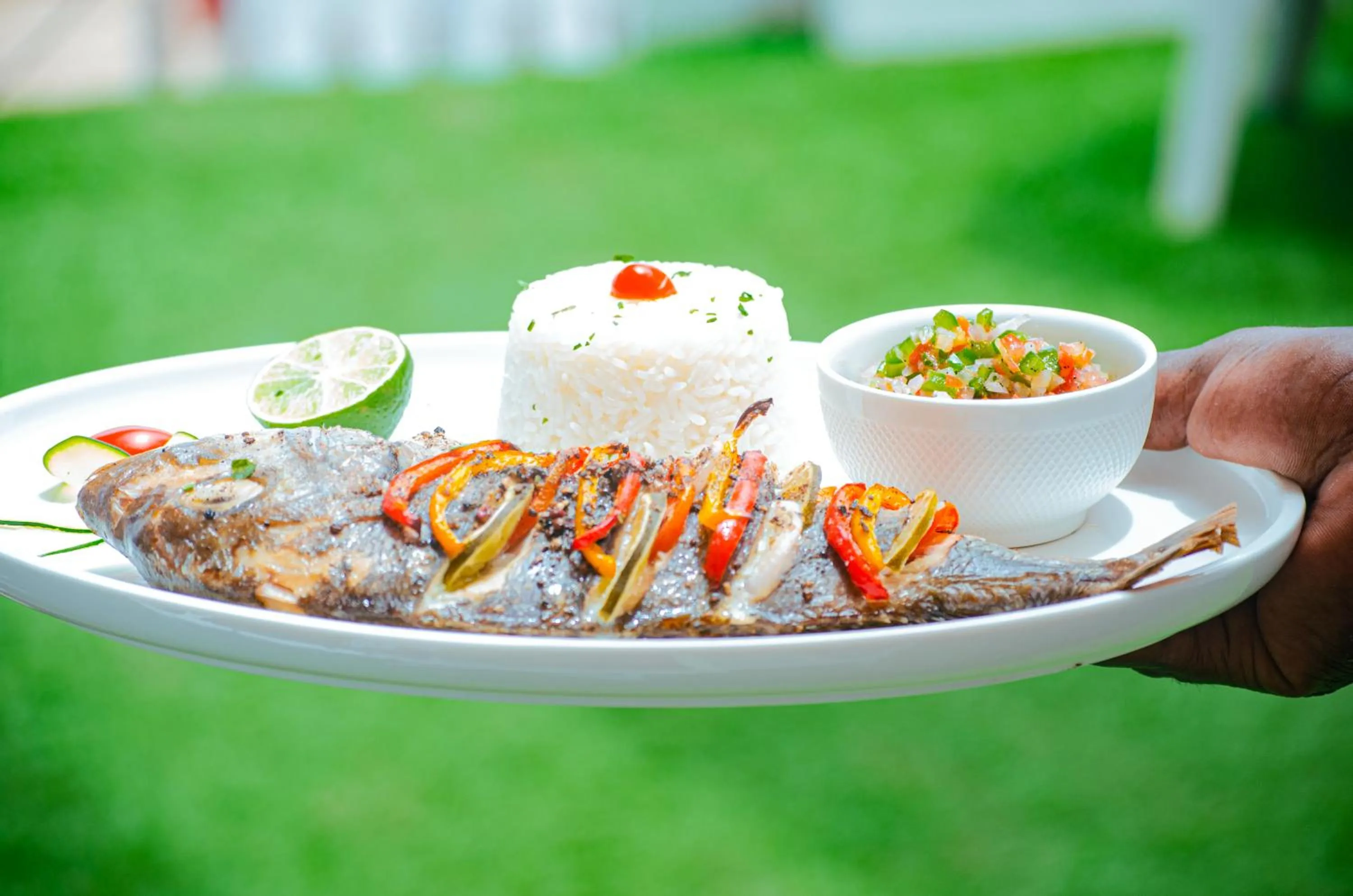 Restaurant/places to eat in La Madrague-Surf Beach Sea