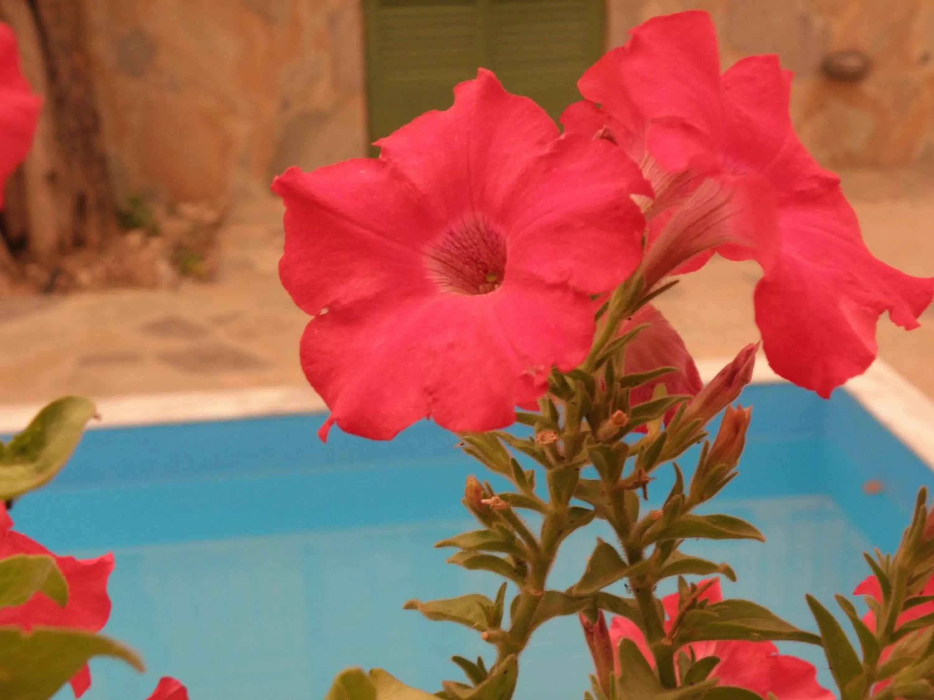 Other in Ampoulos Rooms & Apartments