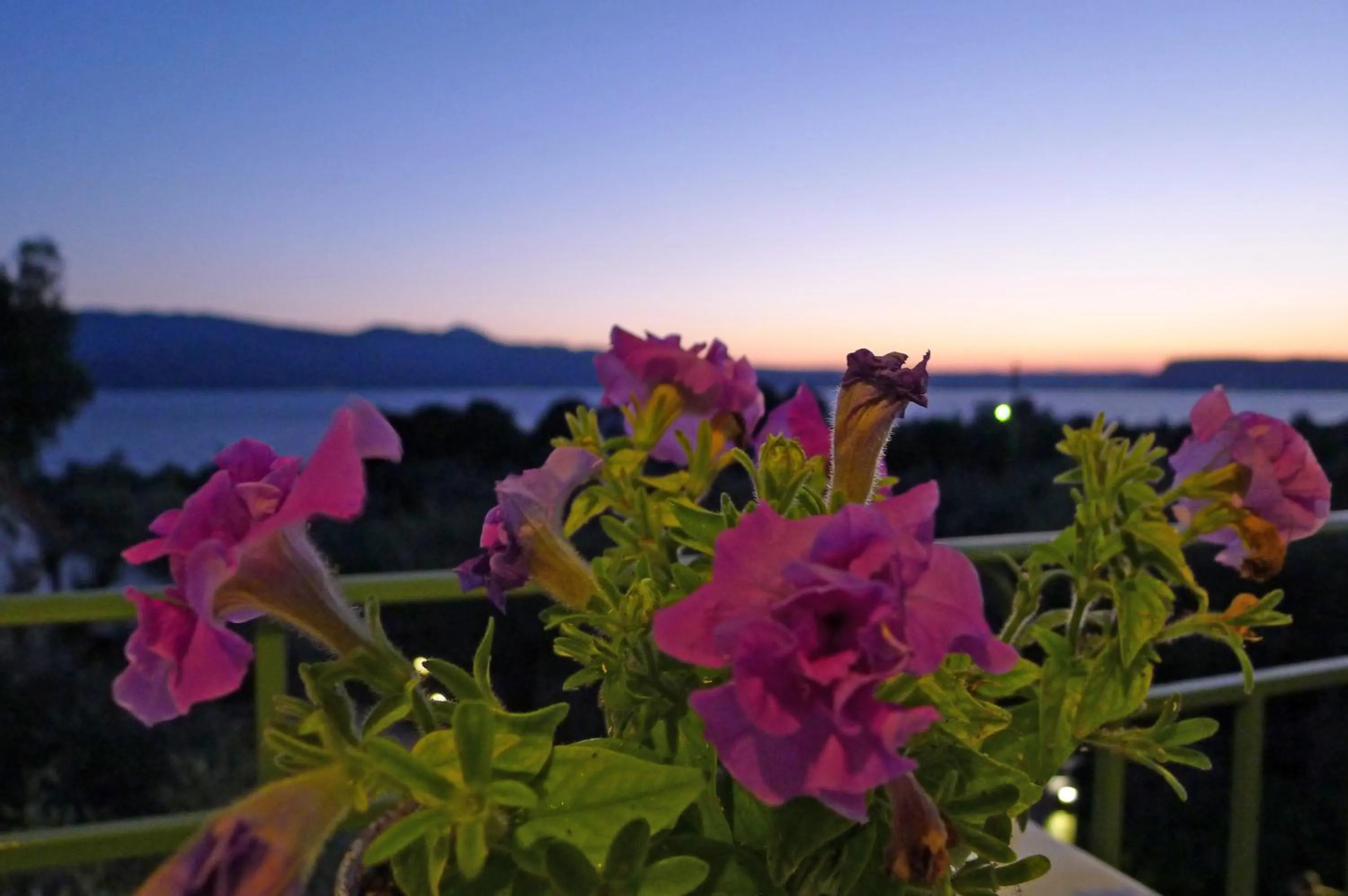 Ampoulos Rooms & Apartments