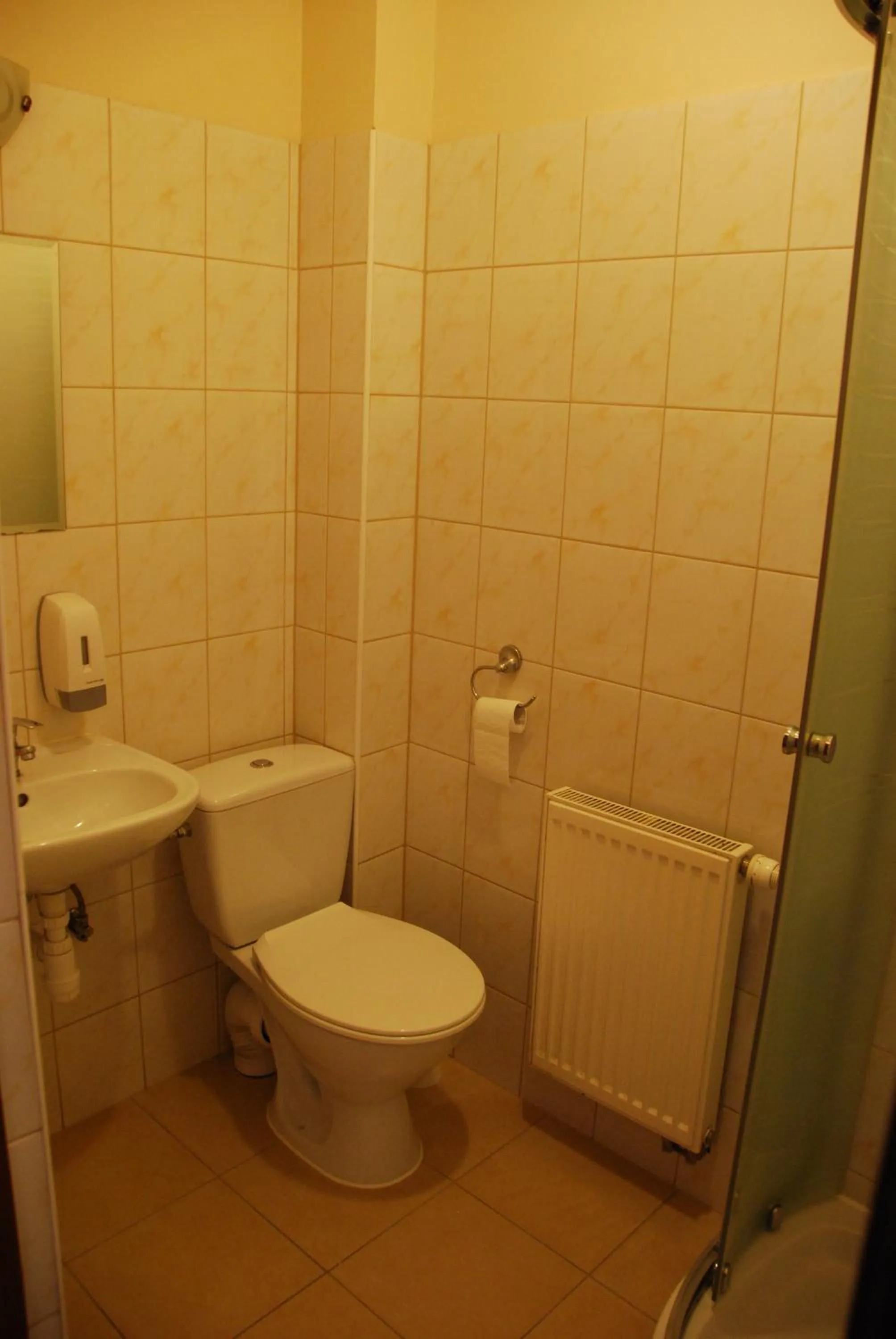 Shower in Noclegi Kochlice