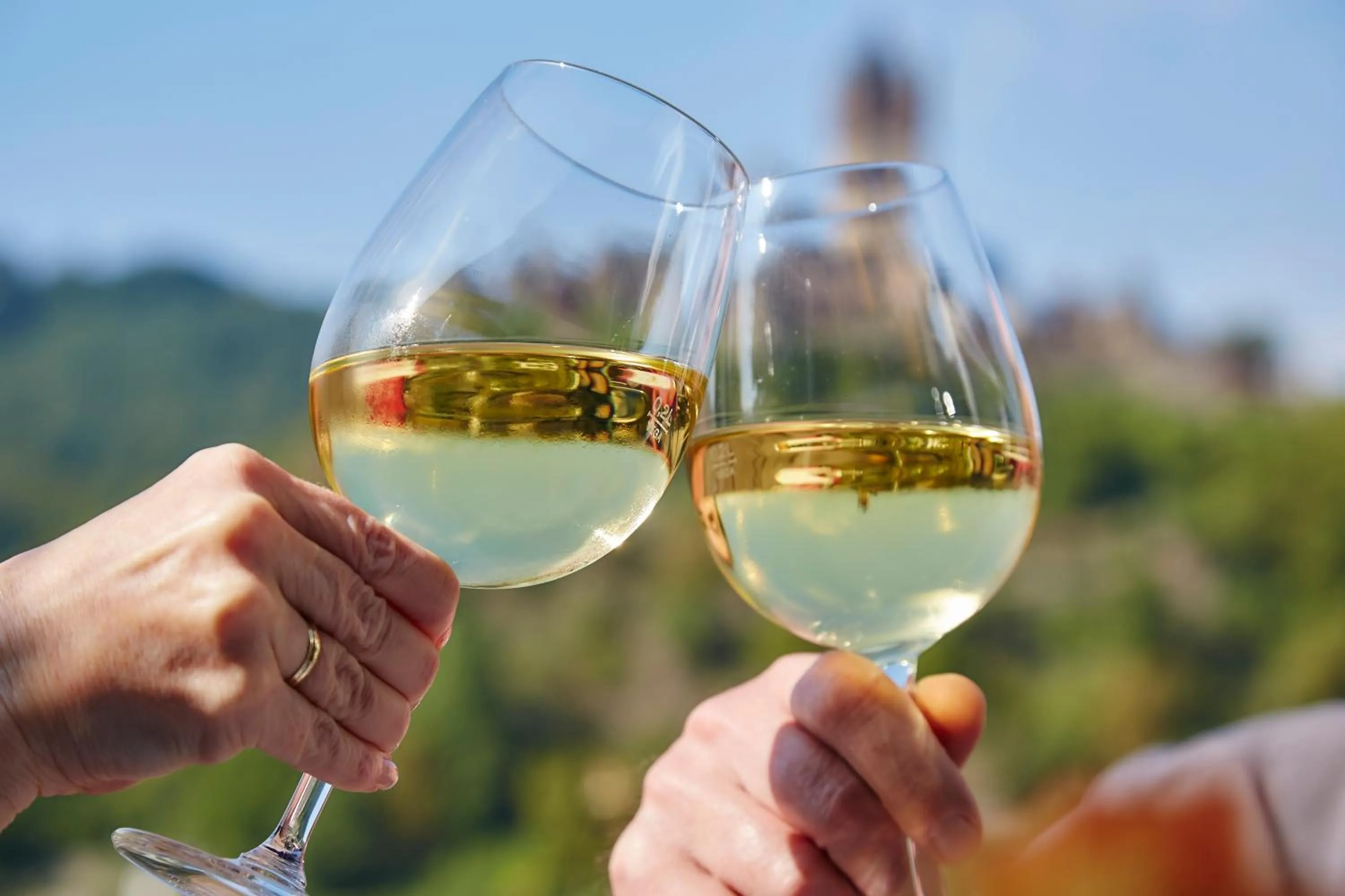 Alcoholic drinks in Flair Hotel am Rosenhügel - Garni