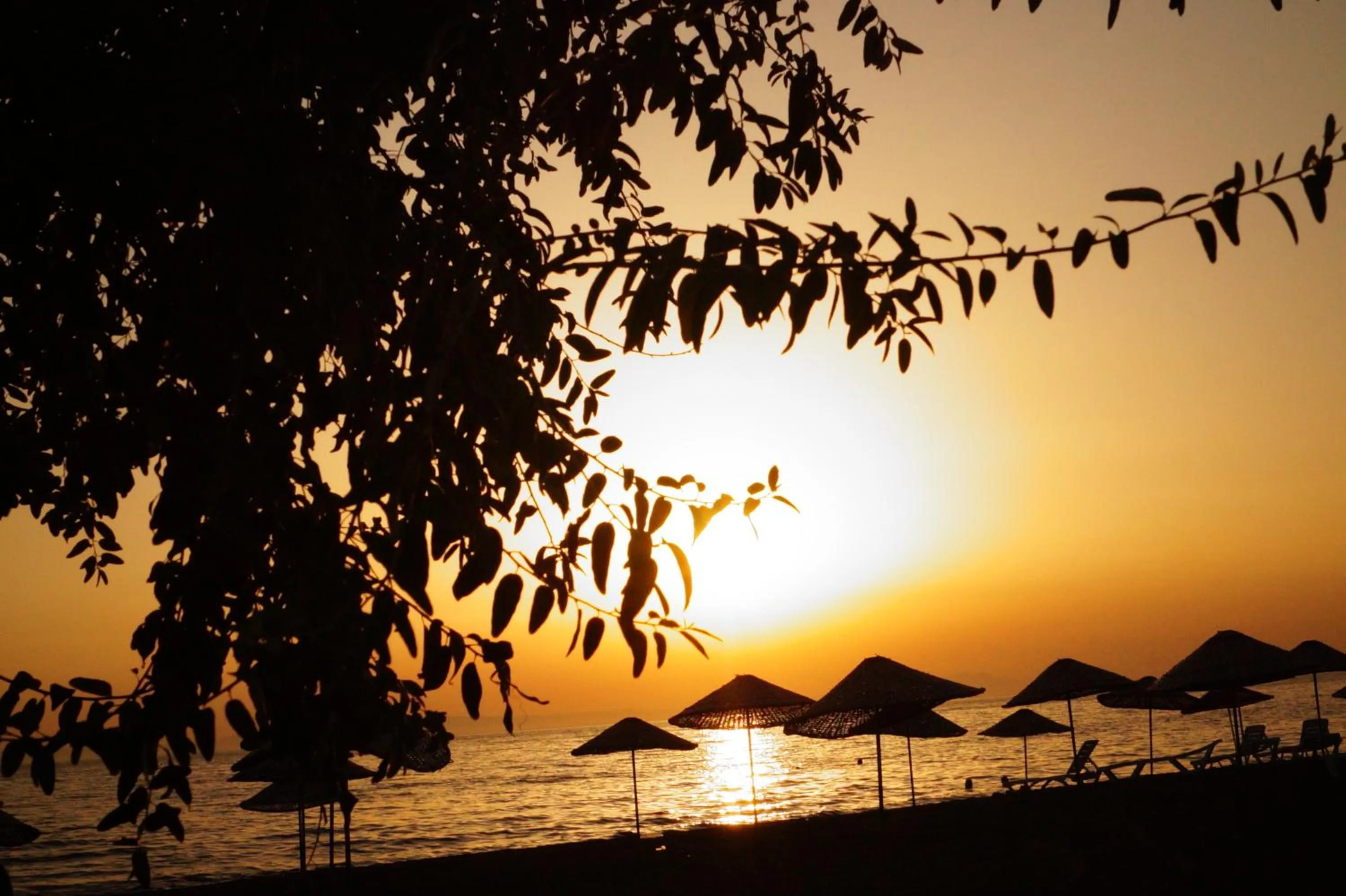 Sea view in Dikelya Hotel