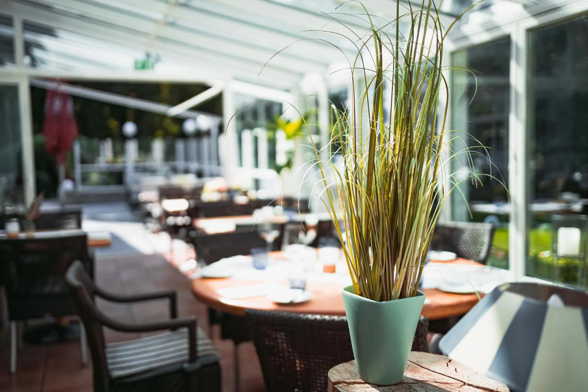 Restaurant/places to eat in Seehotel Frankenhorst - BW Signature Collection