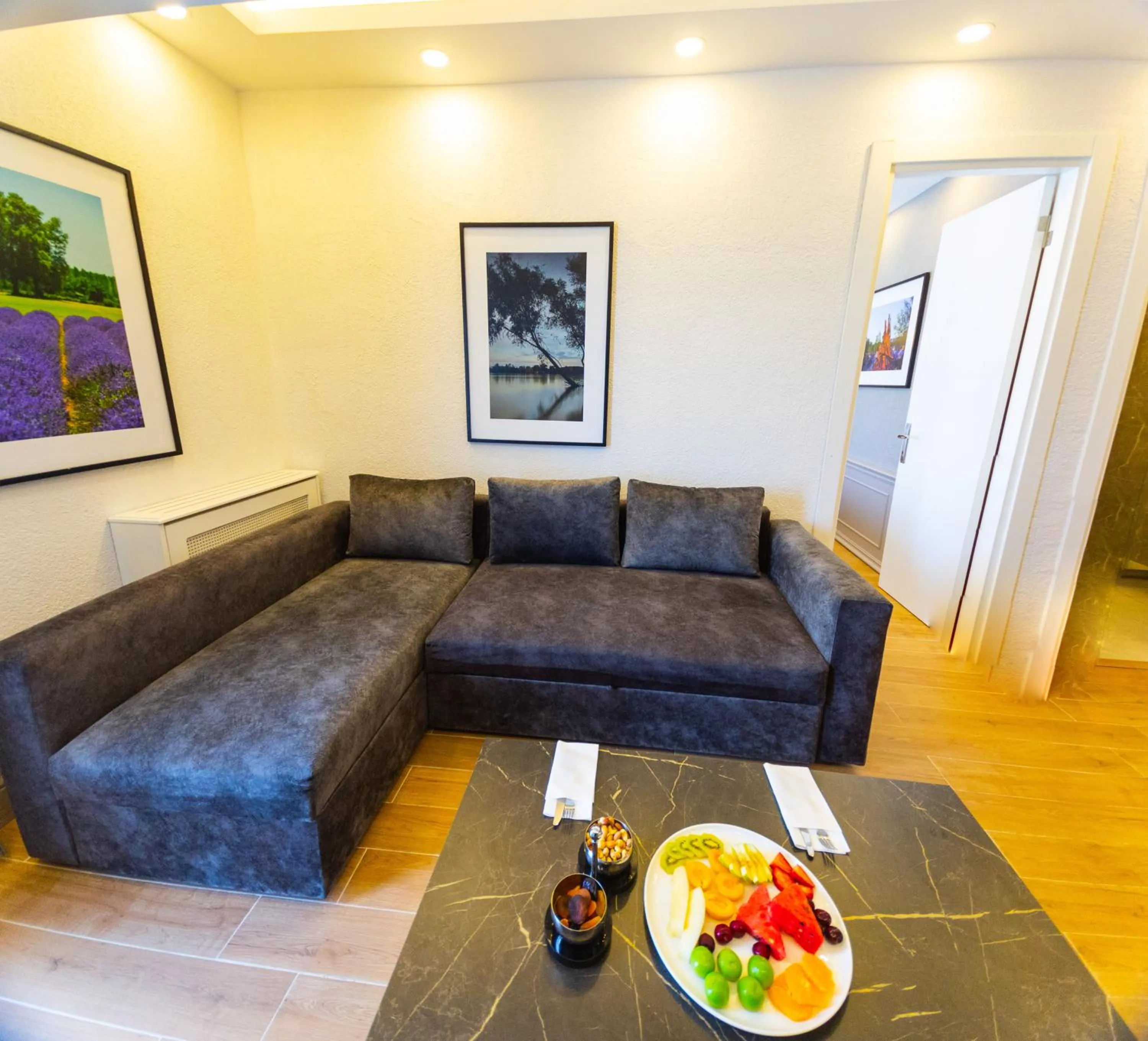 Seating area in Alan Suites