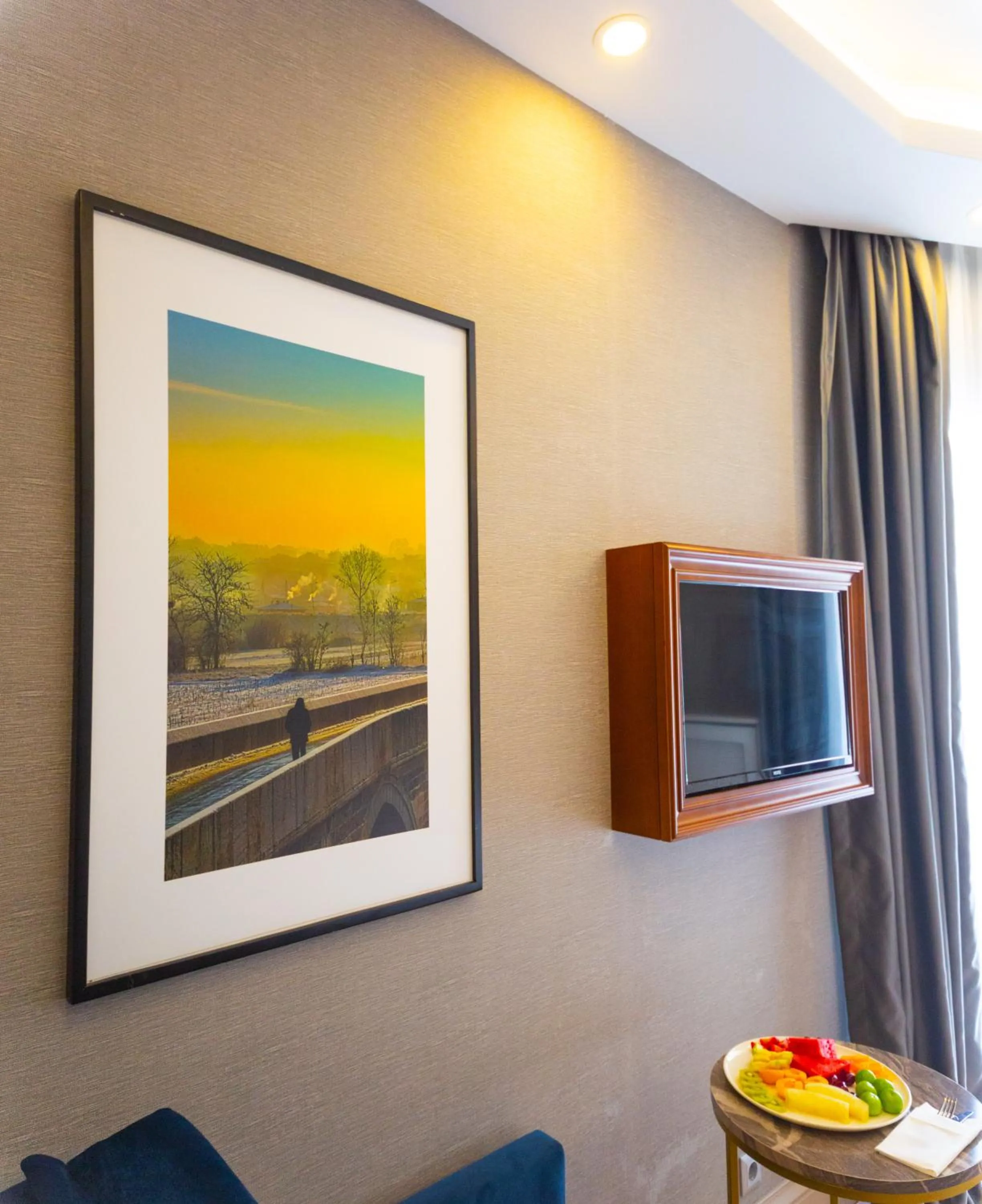 TV and multimedia in Alan Suites