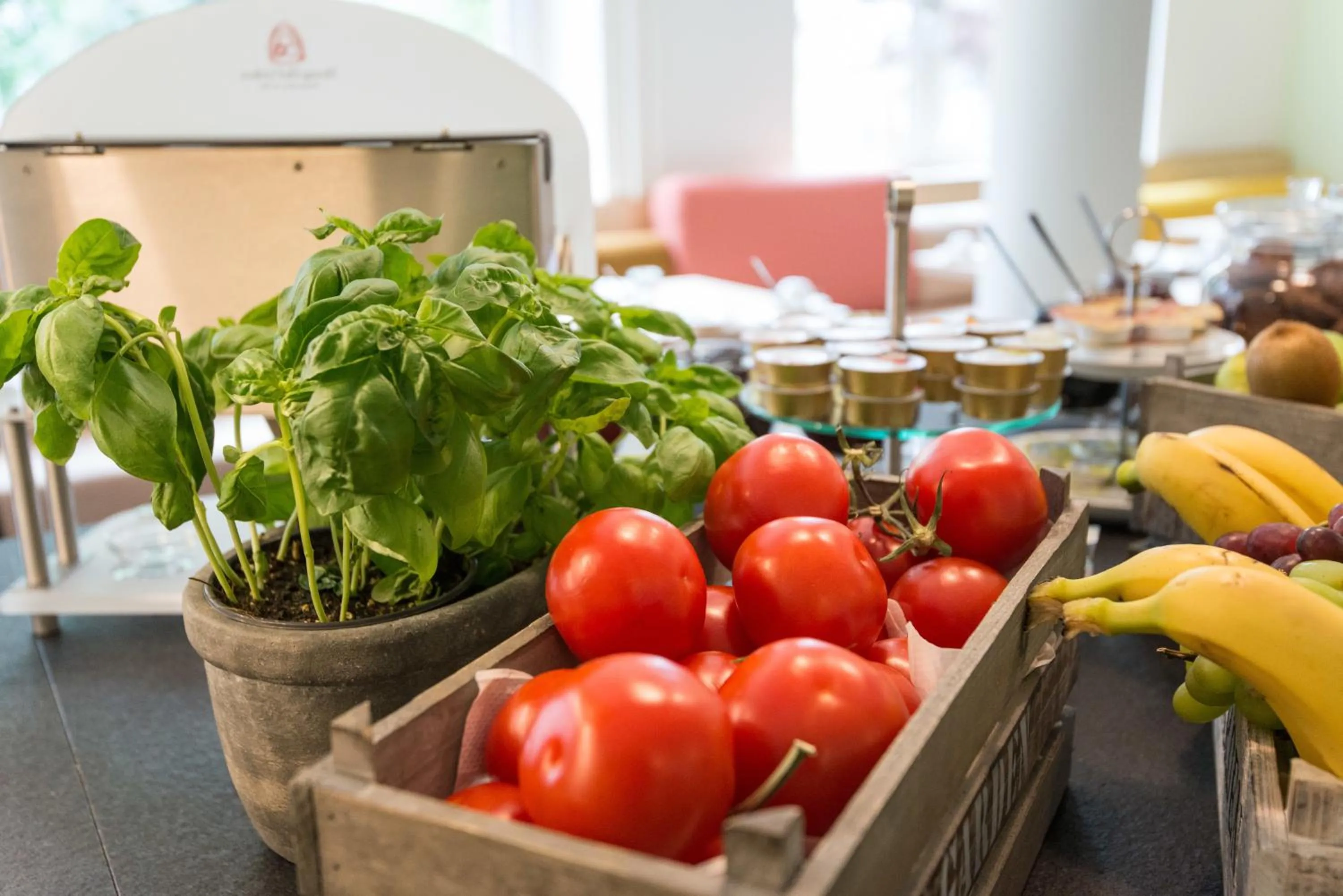 Buffet breakfast in Hotel Stella Maris