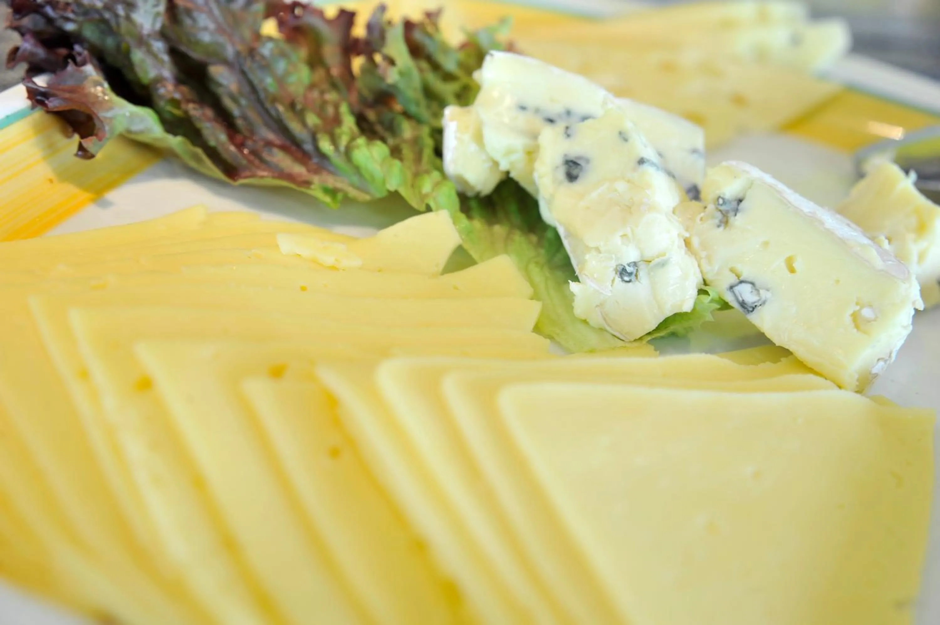 Food and drinks in Plaza Inn Berlin Süd Ludwigsfelde