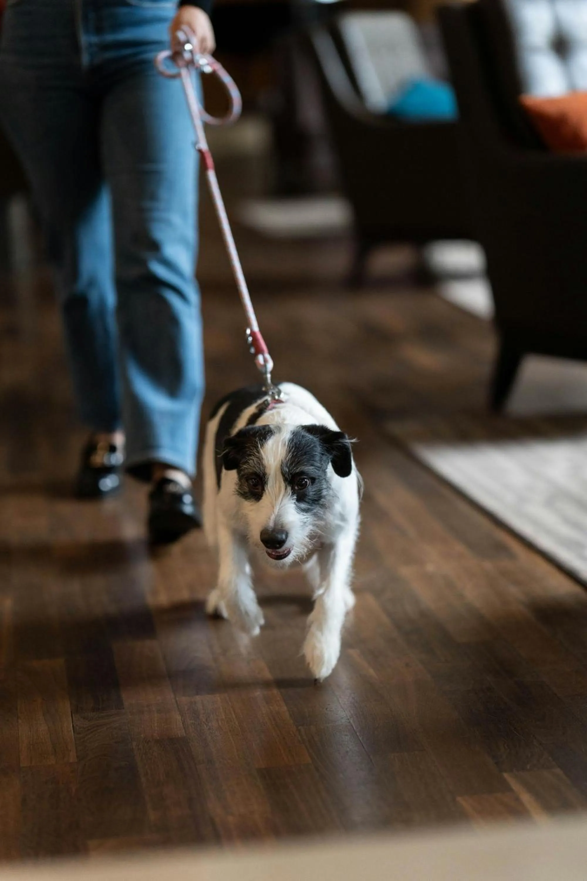 Other in Sheraton Essen Hotel