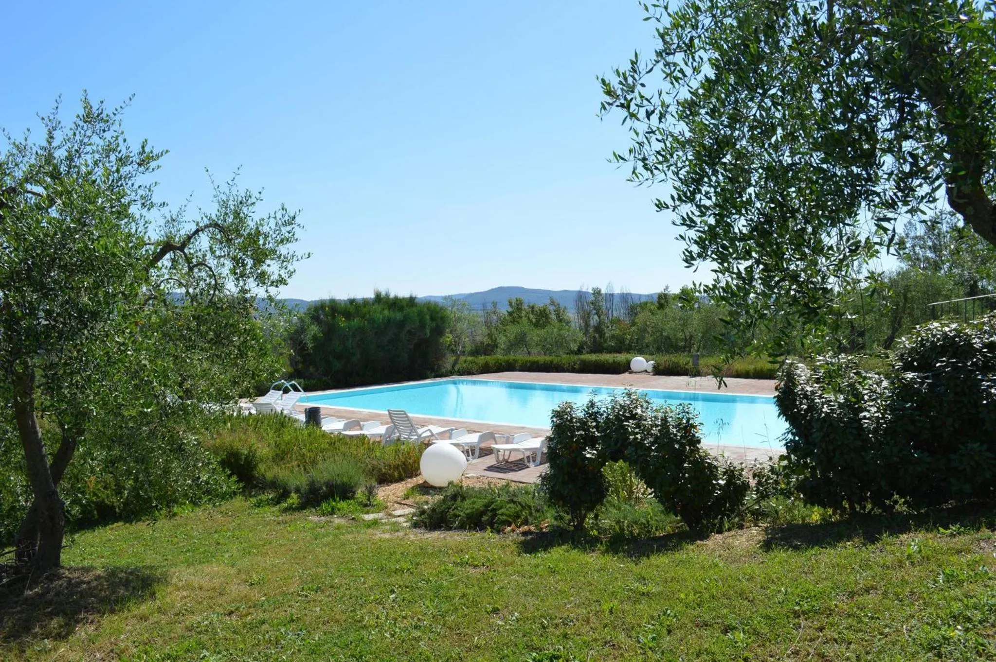 Garden in Holidays in apartment with swimming pool in Tuscany Siena