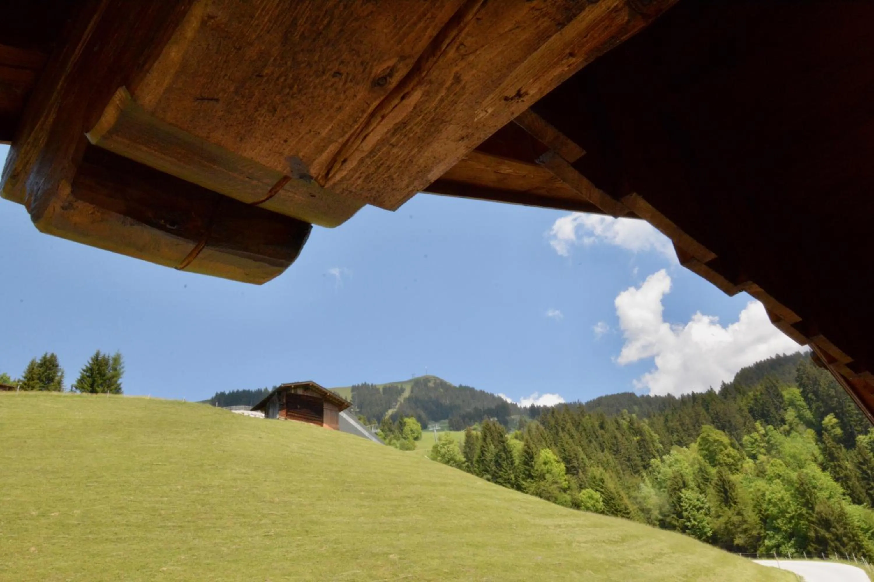 Nearby landmark in Appartement Oberschernthann
