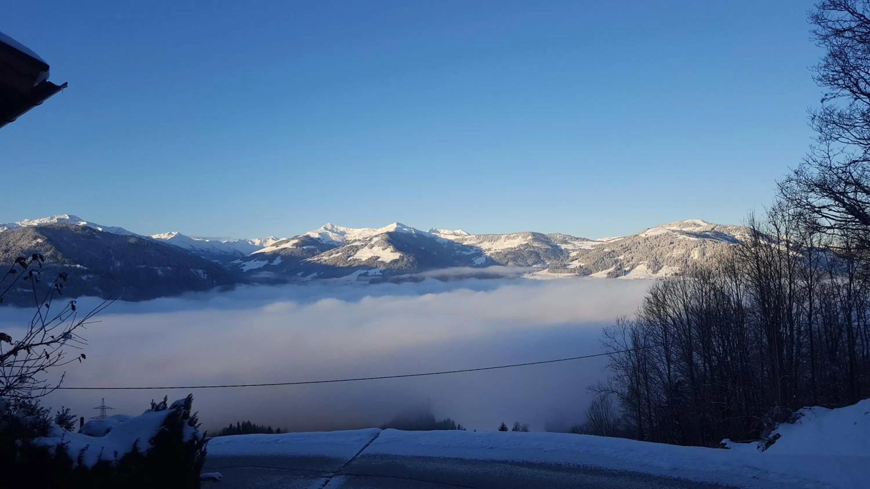 Natural landscape in Appartement Oberschernthann