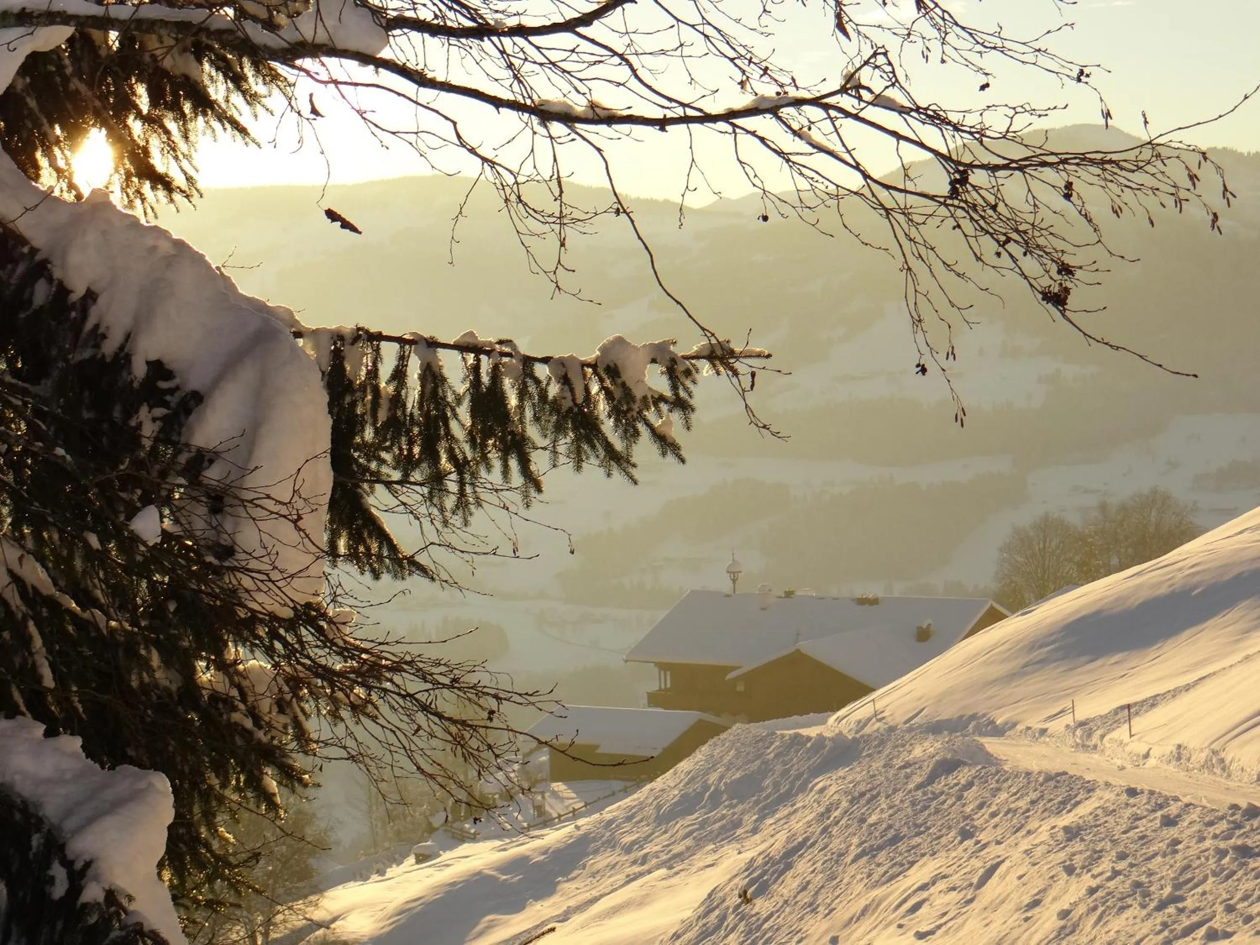 Natural landscape in Appartement Oberschernthann