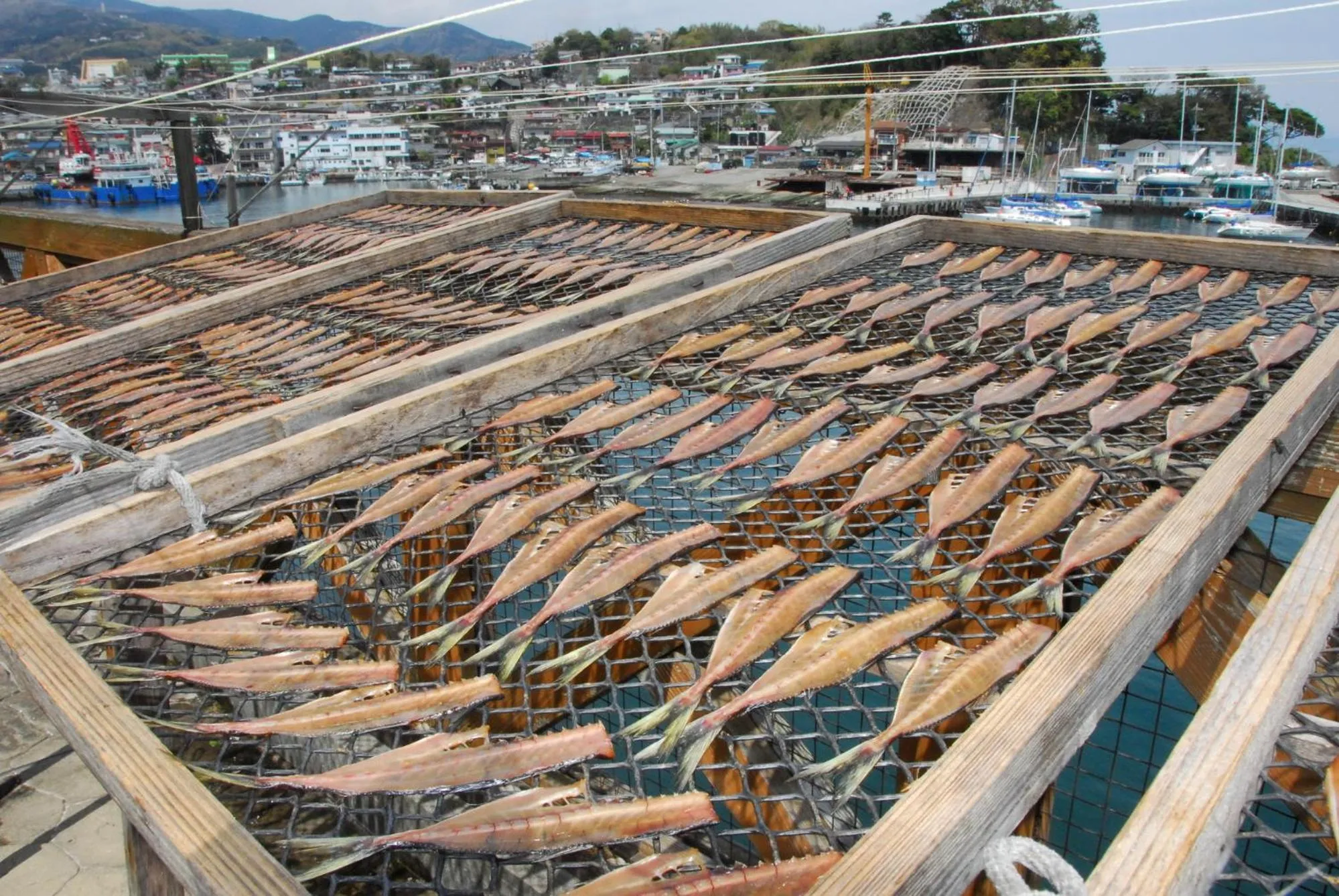 Nearby landmark in Tabist Miyoshi Ryokan Odawara Manazuru