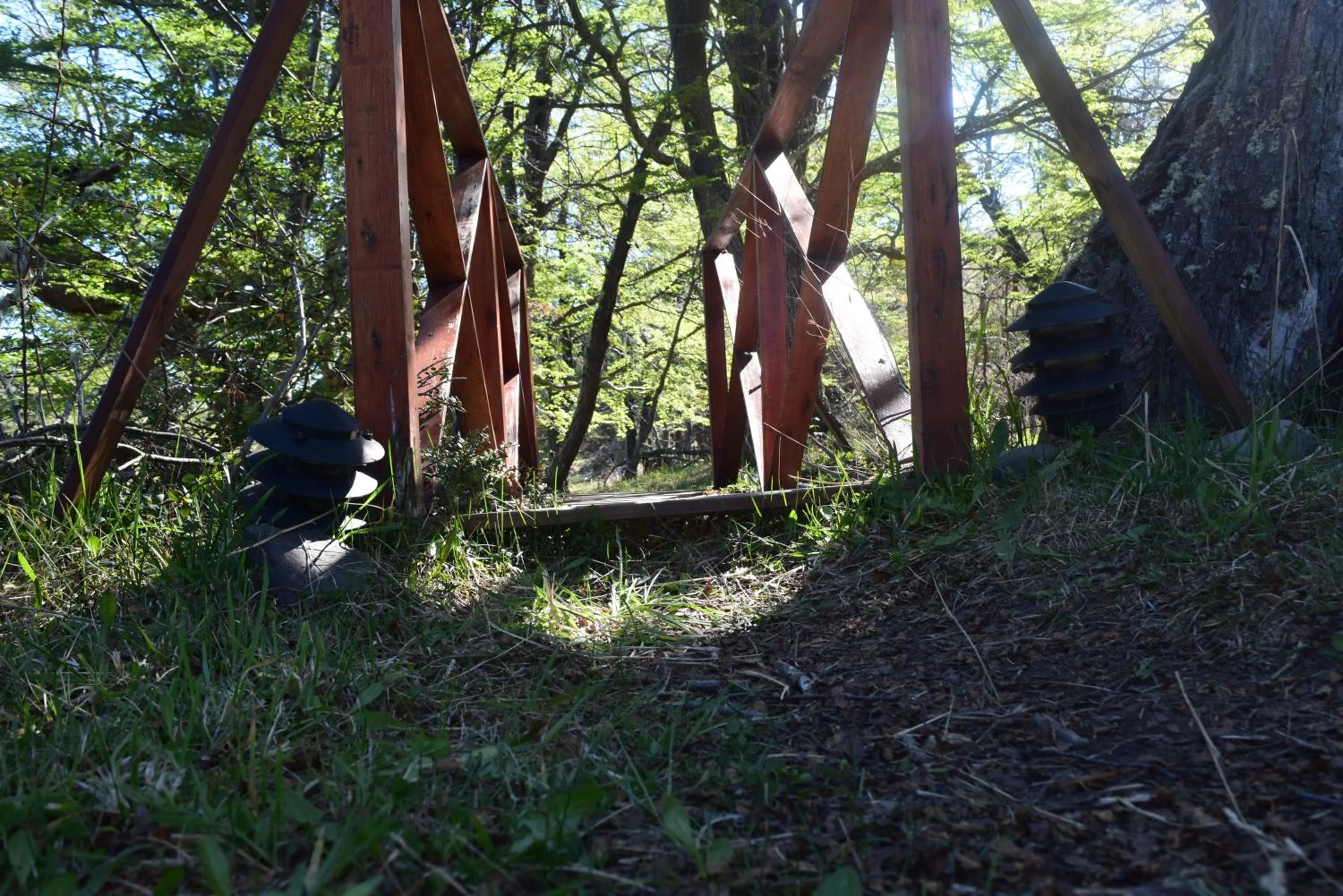 Activities in South B&B El Calafate