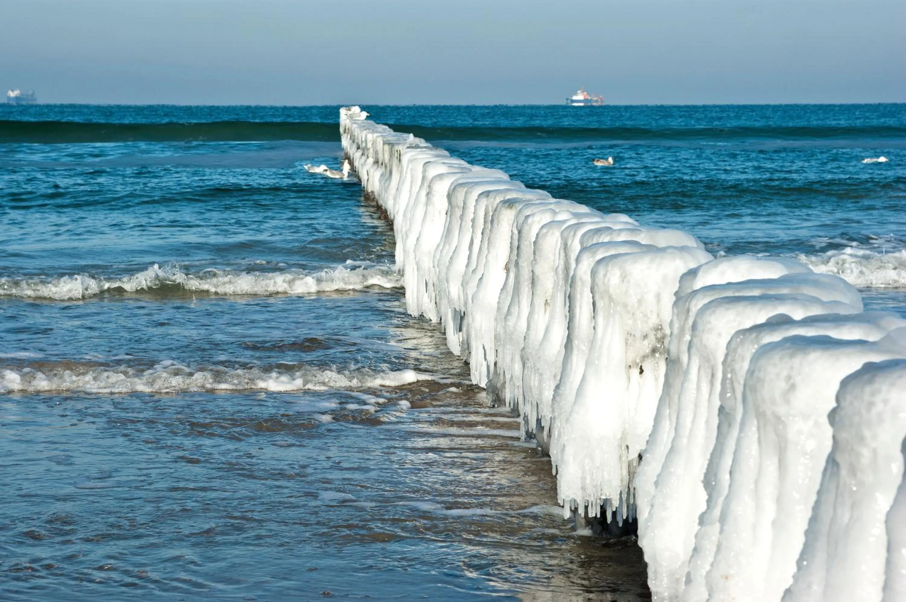 Natural landscape in KurparkHotel Warnemünde