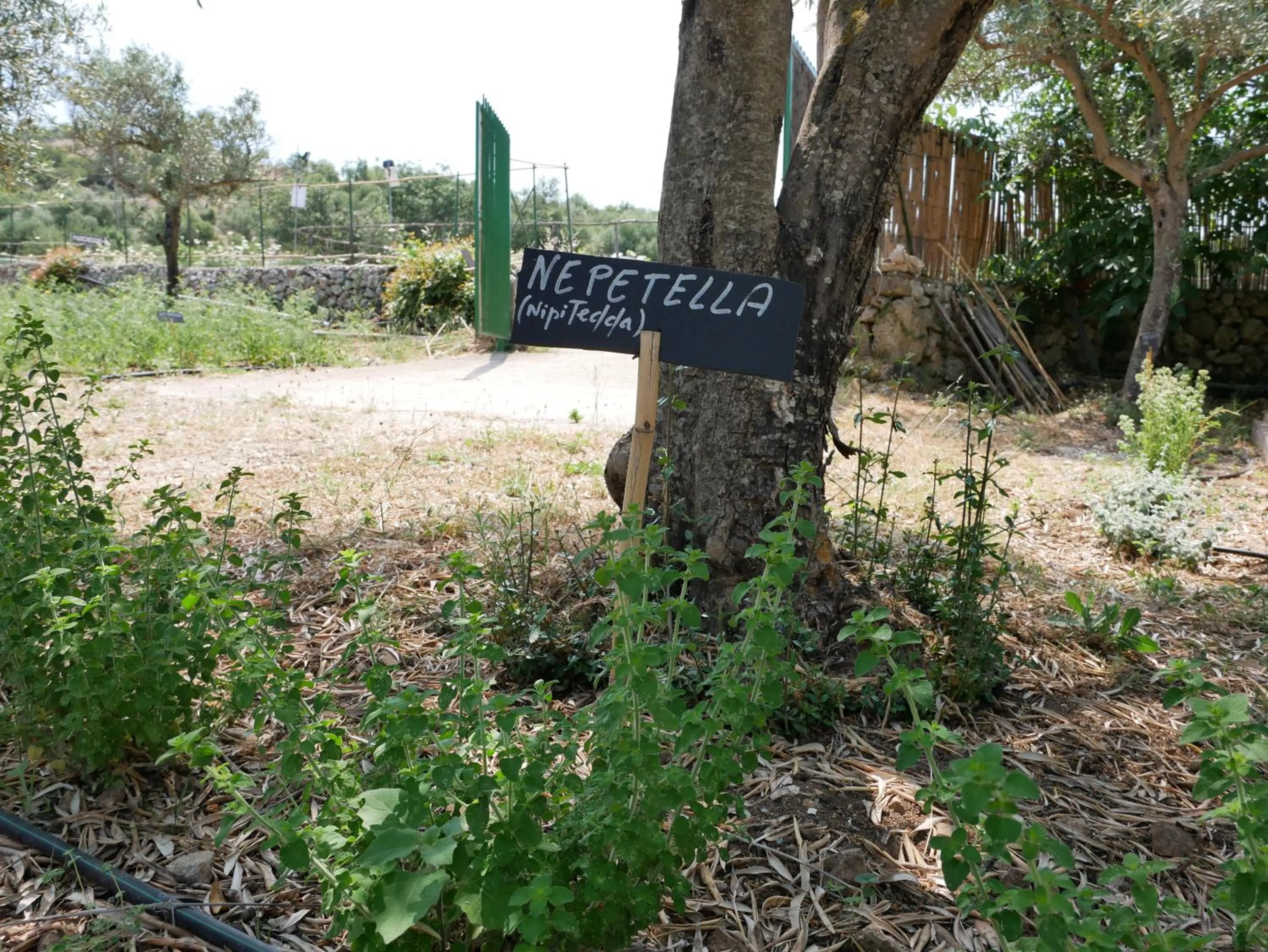 Garden in Pantalica Ranch Agriturismo Siciliano