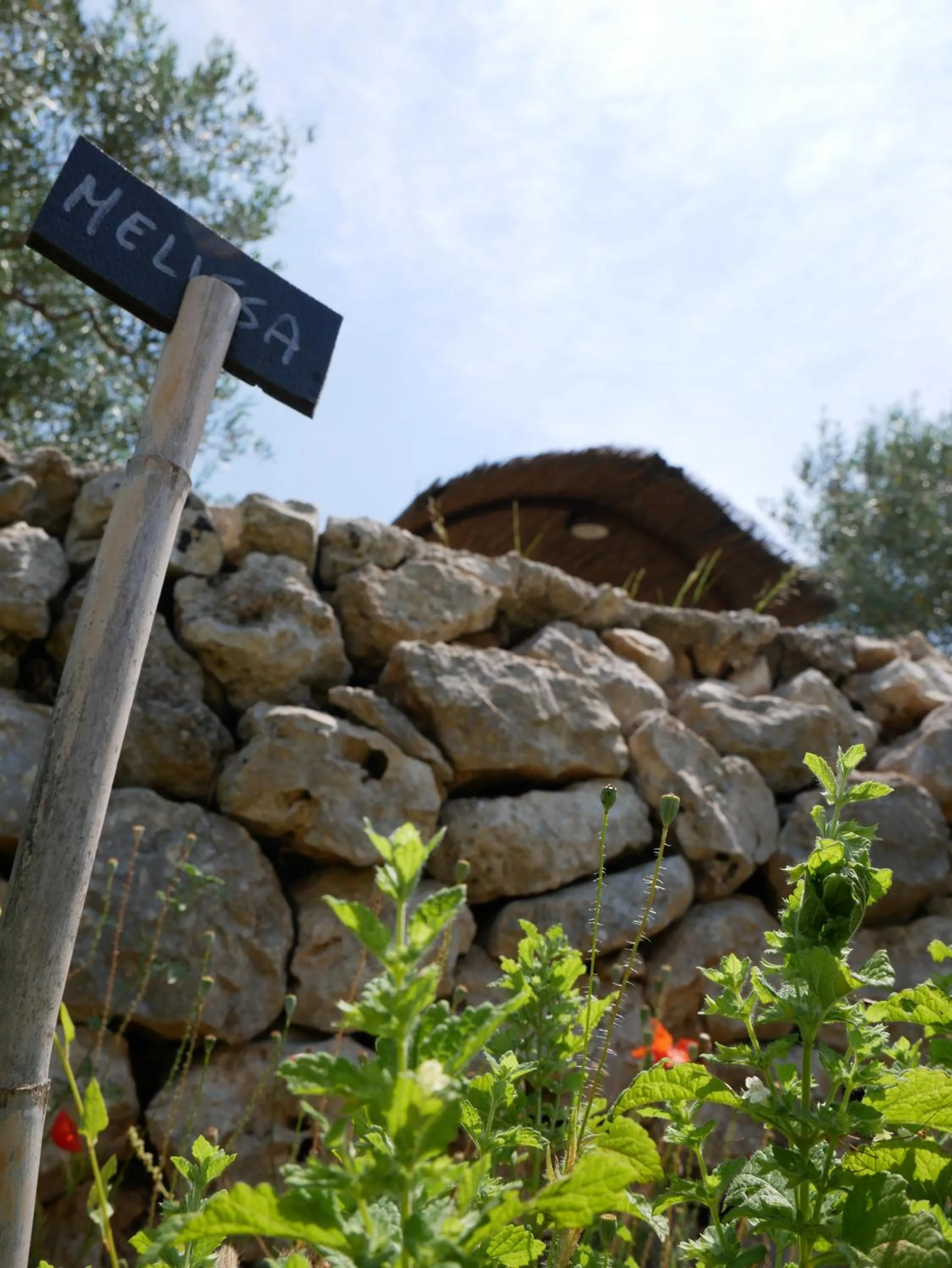 Garden in Pantalica Ranch Agriturismo Siciliano
