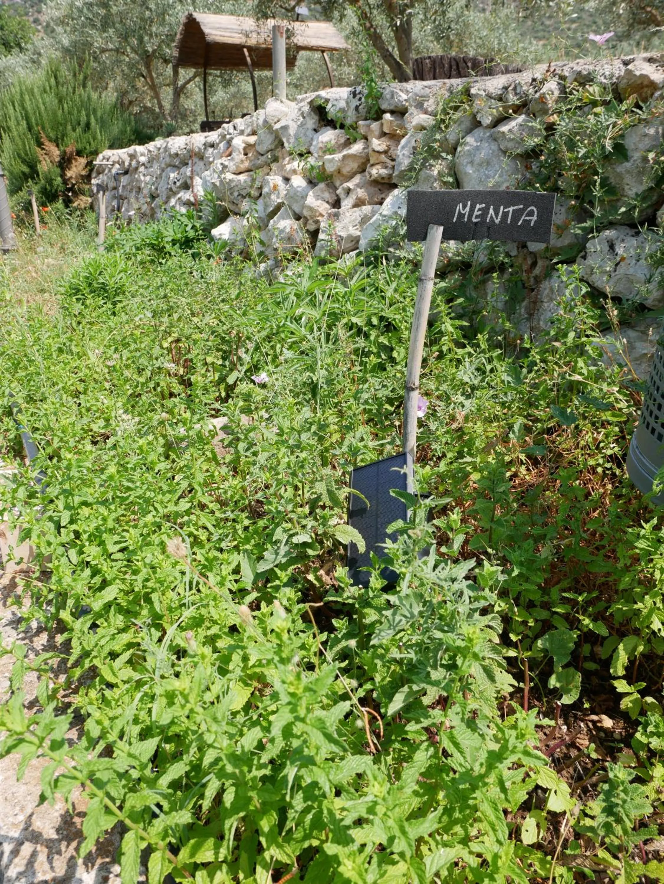 Garden in Pantalica Ranch Agriturismo Siciliano