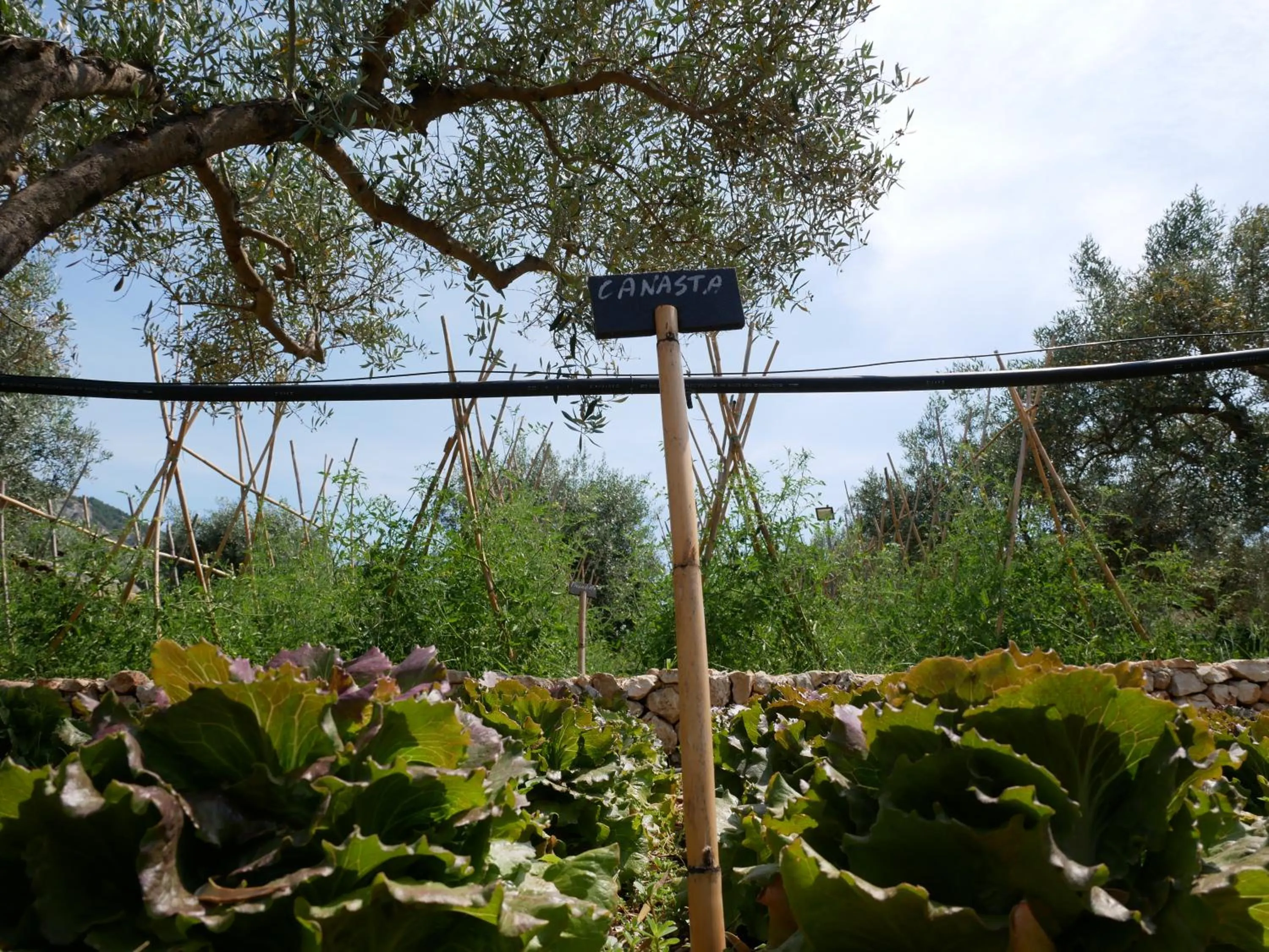 Garden in Pantalica Ranch Agriturismo Siciliano