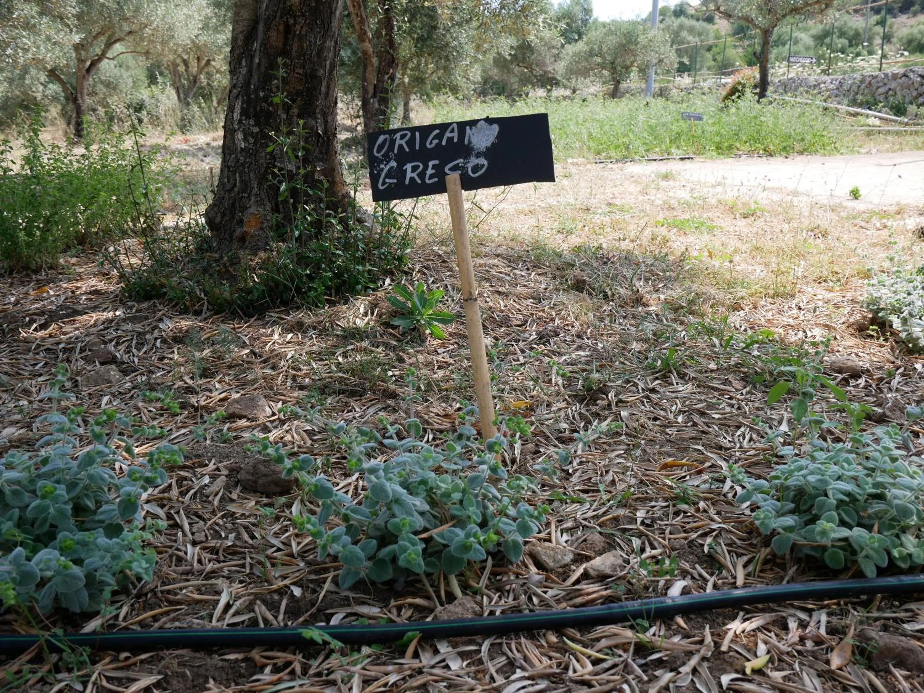 Garden in Pantalica Ranch Agriturismo Siciliano