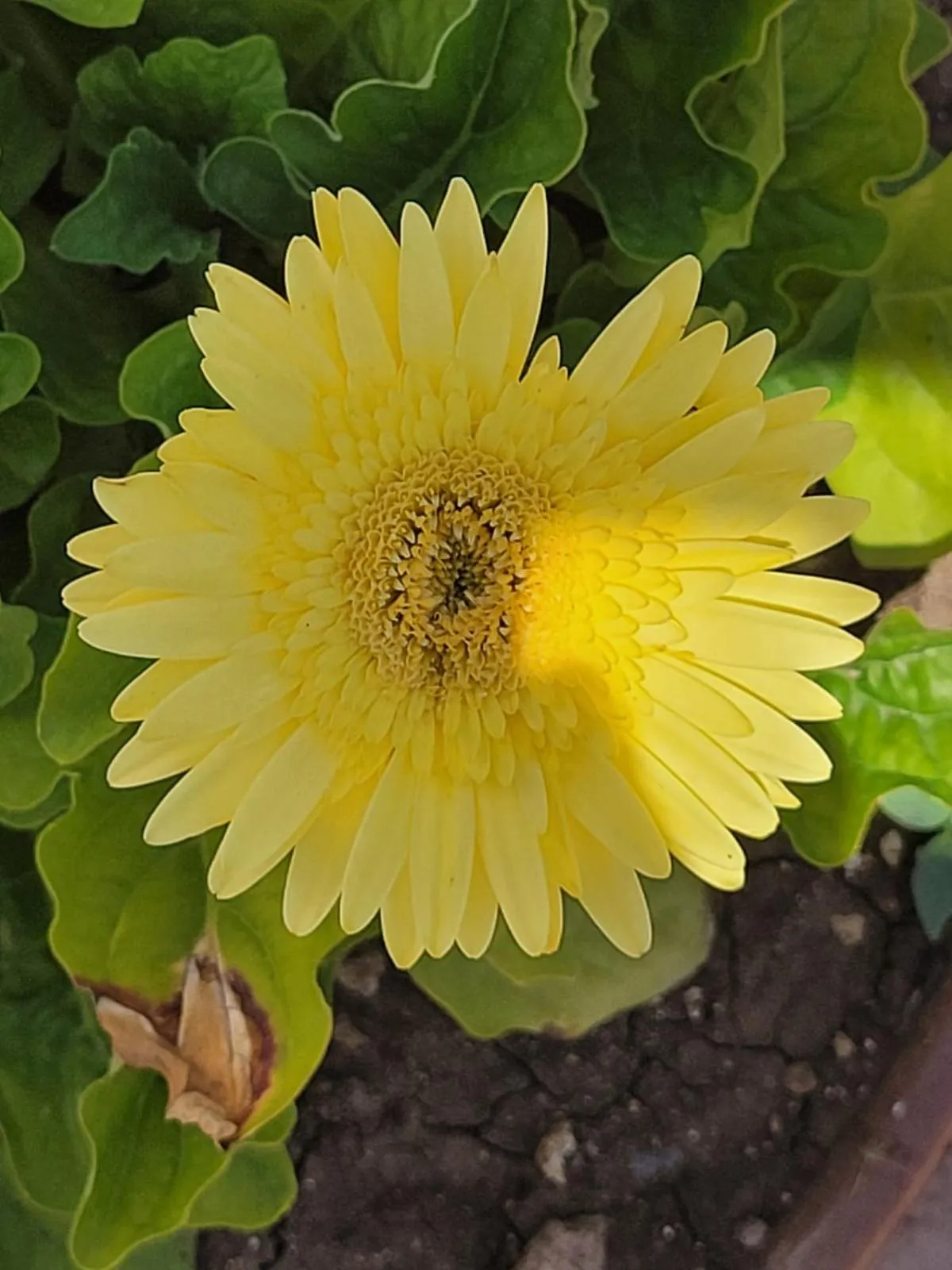 Natural landscape in Pantalica Ranch Agriturismo Siciliano