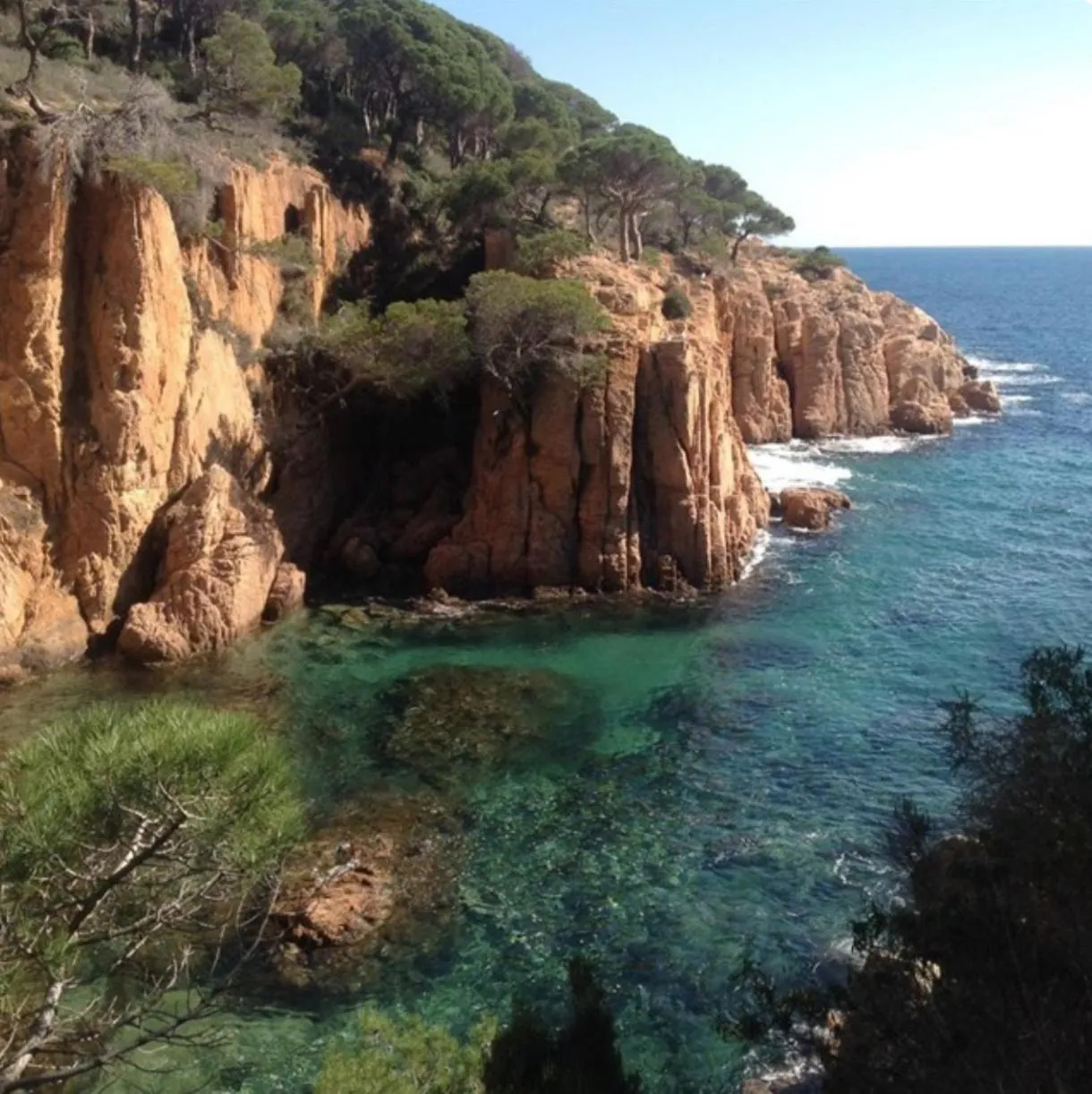 Natural landscape in Nuevo Luminoso Apartamento Catalina a 80 metros de la playa para 4 personas