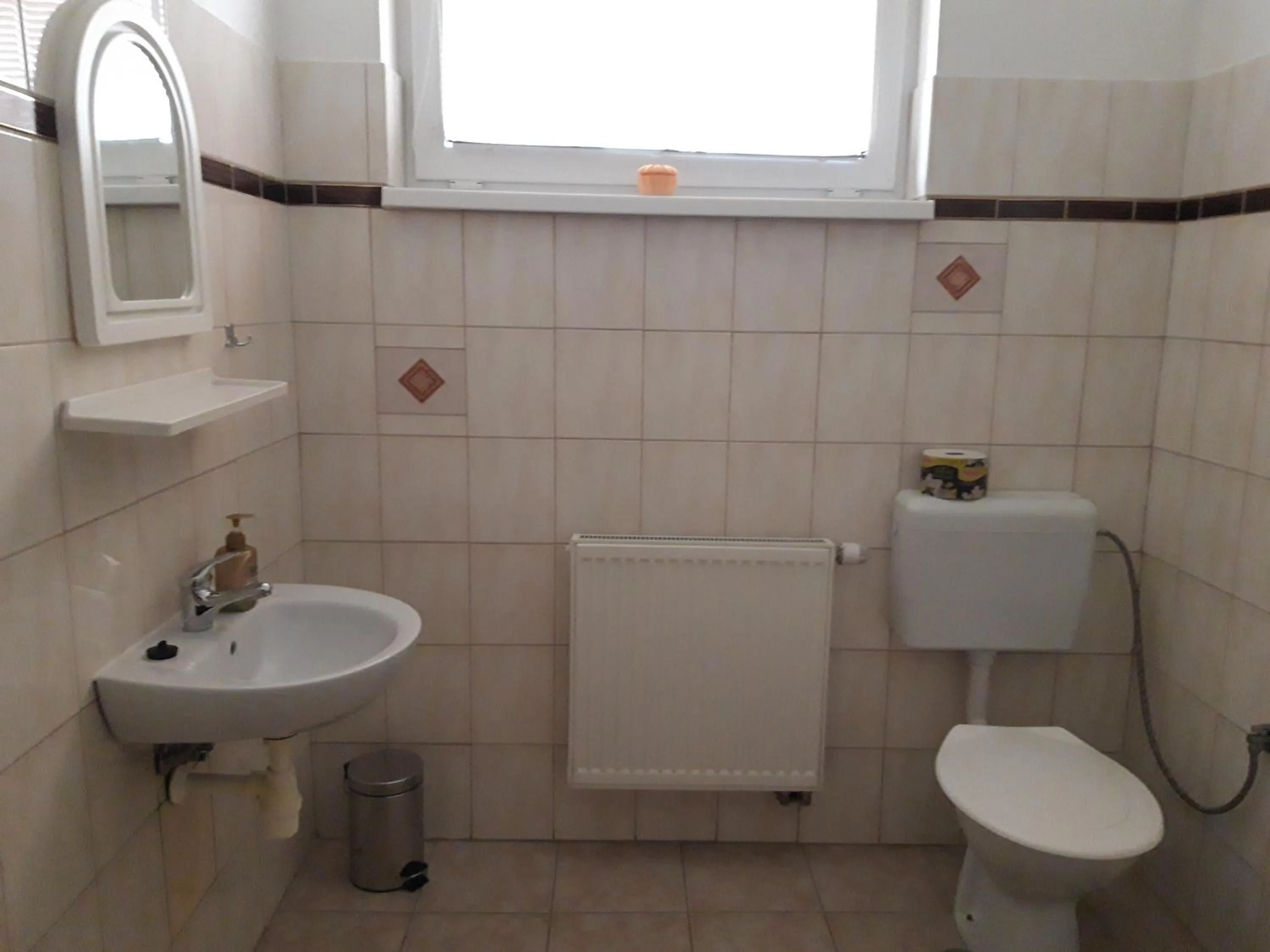 Toilet in TIC Hervartov