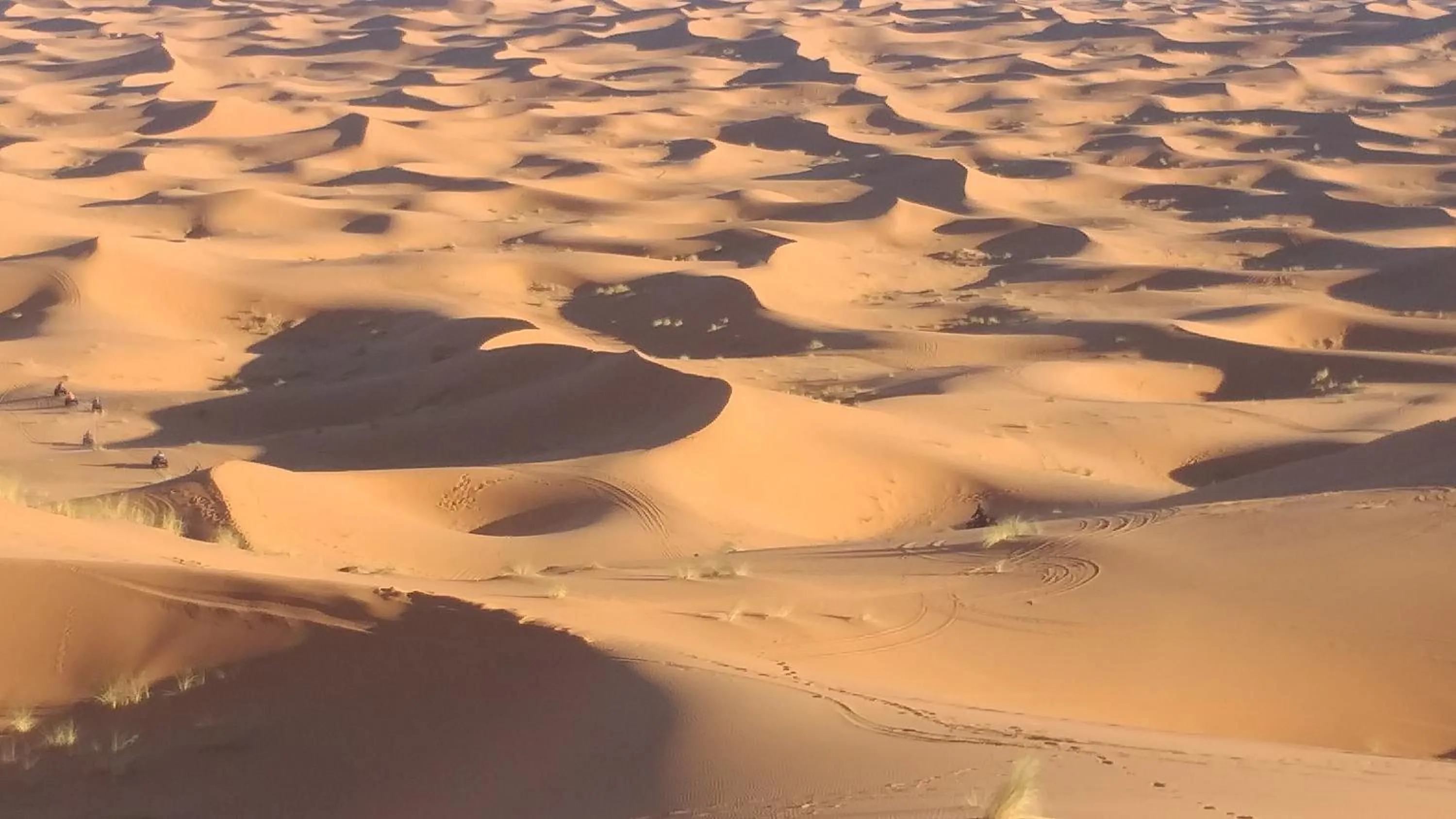 Merzouga Quiet apart &camels trecking