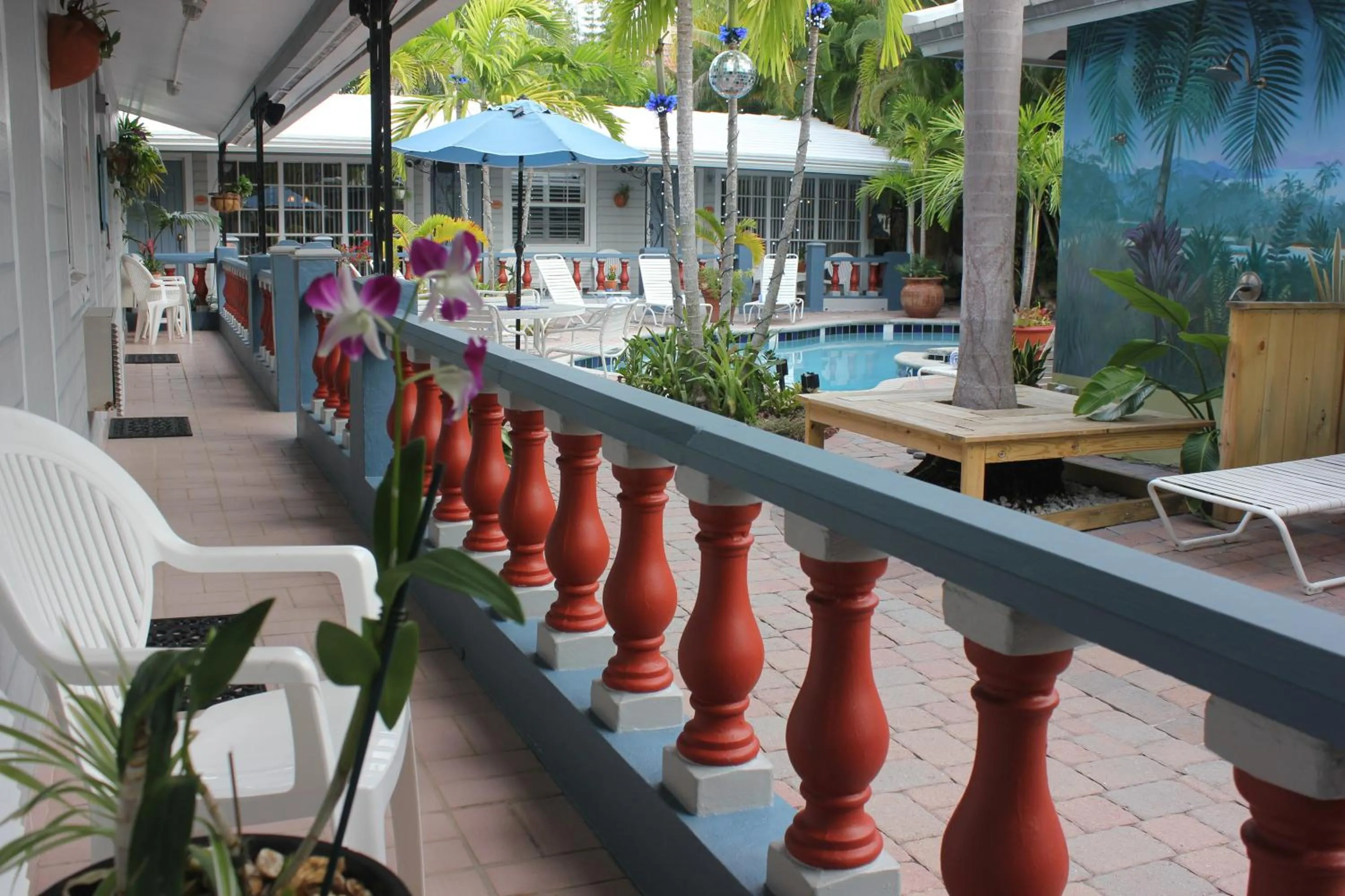 Patio in Coral Reef Guesthouse