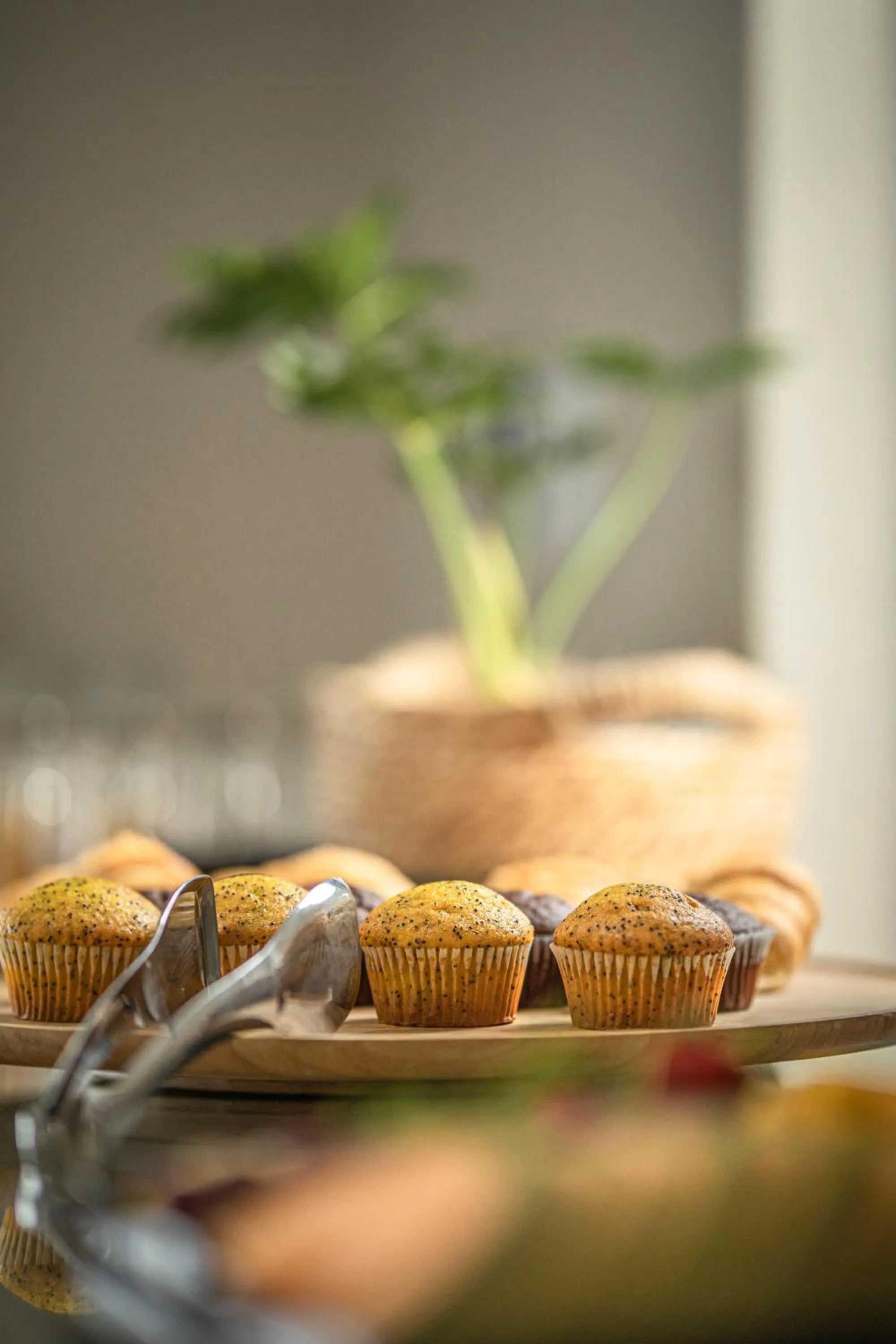 Food and drinks in Little Kubu Lodge