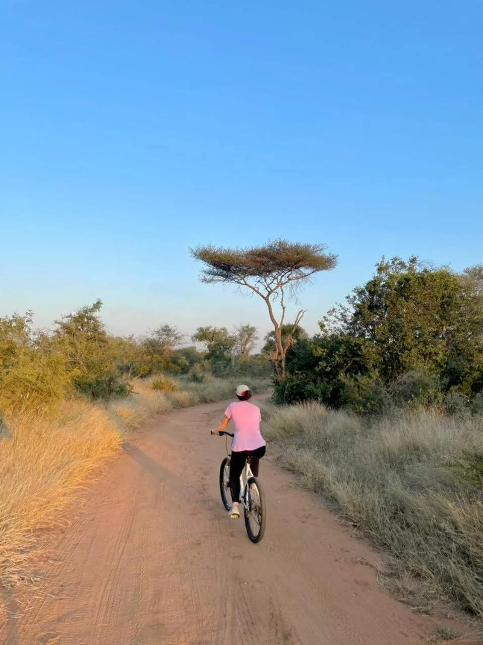 Cycling in Little Kubu Lodge