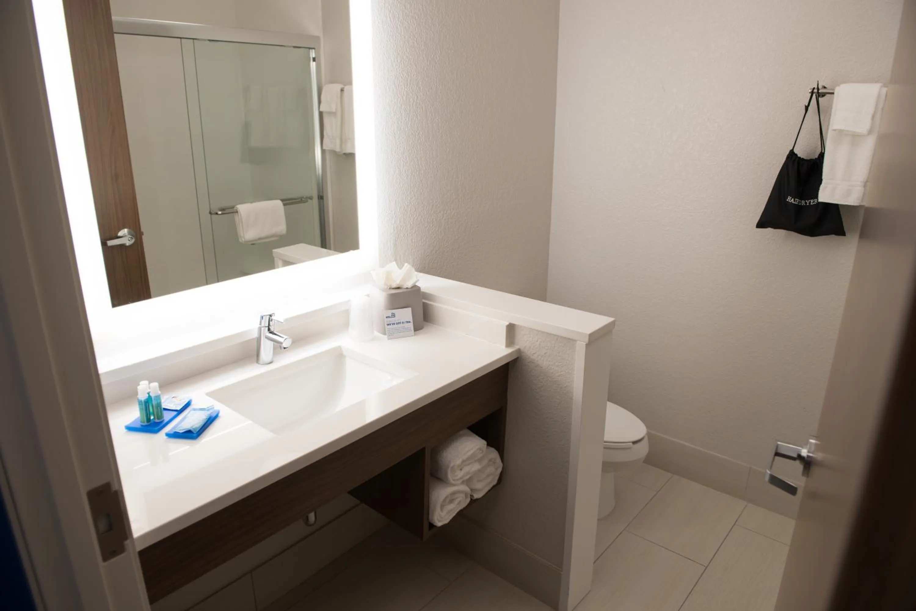 Bathroom in Holiday Inn Express & Suites - Mishawaka - South Bend by IHG