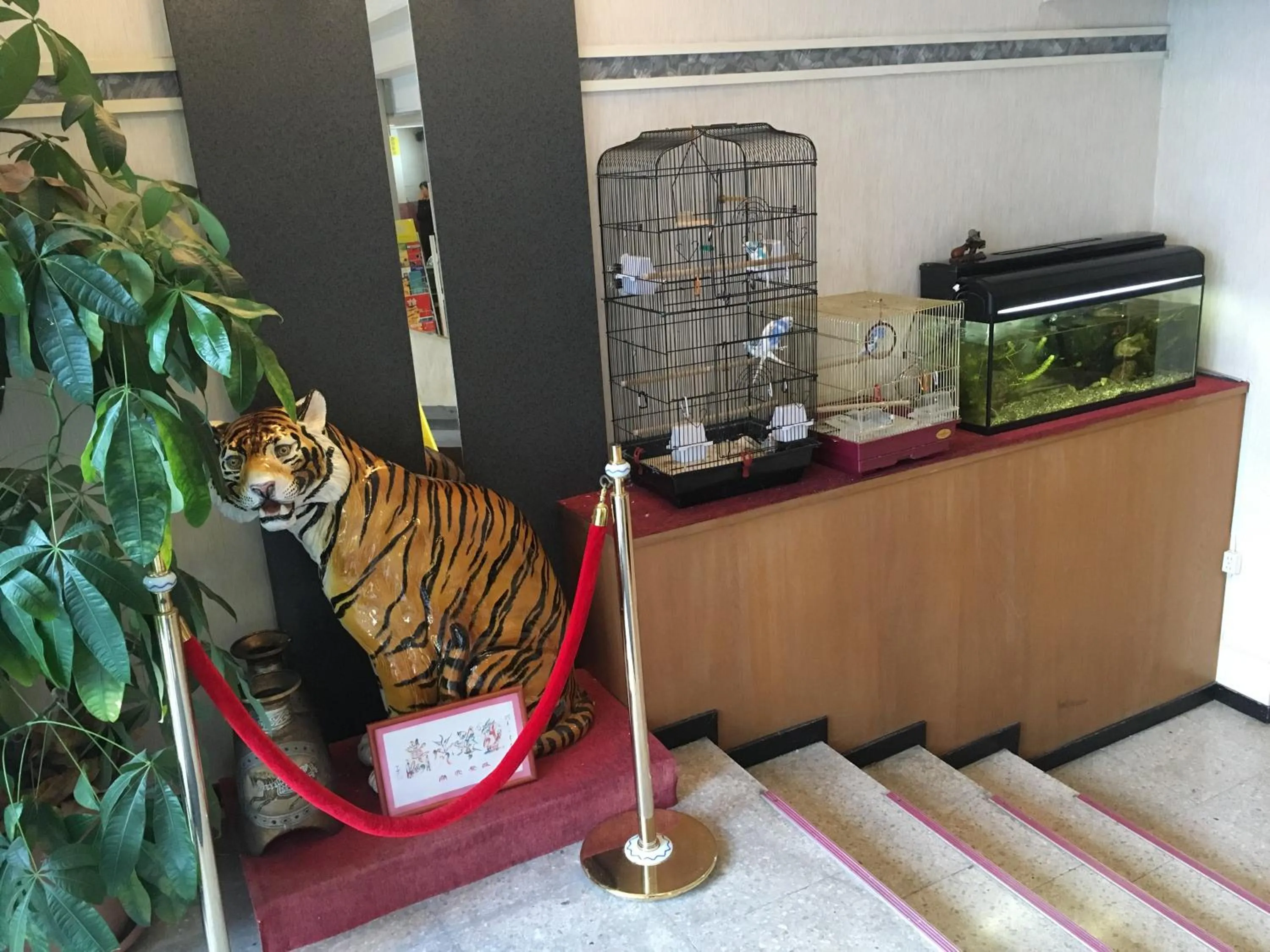 Okinawa Hotel Continental