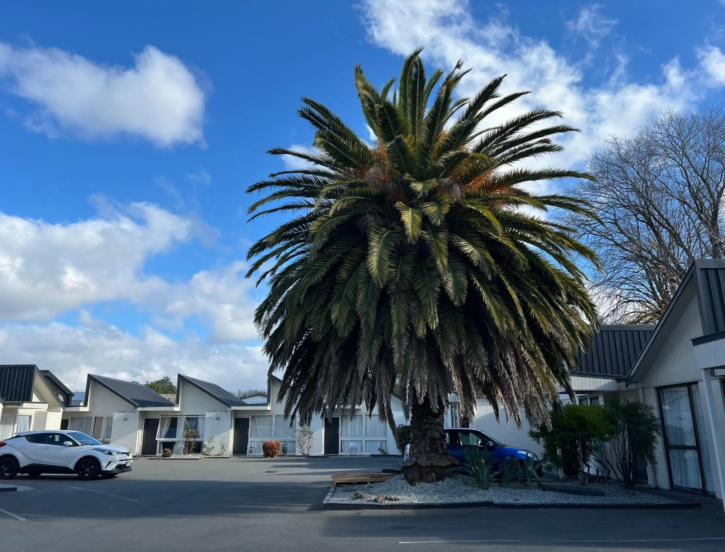 Garden in Diplomat Motel