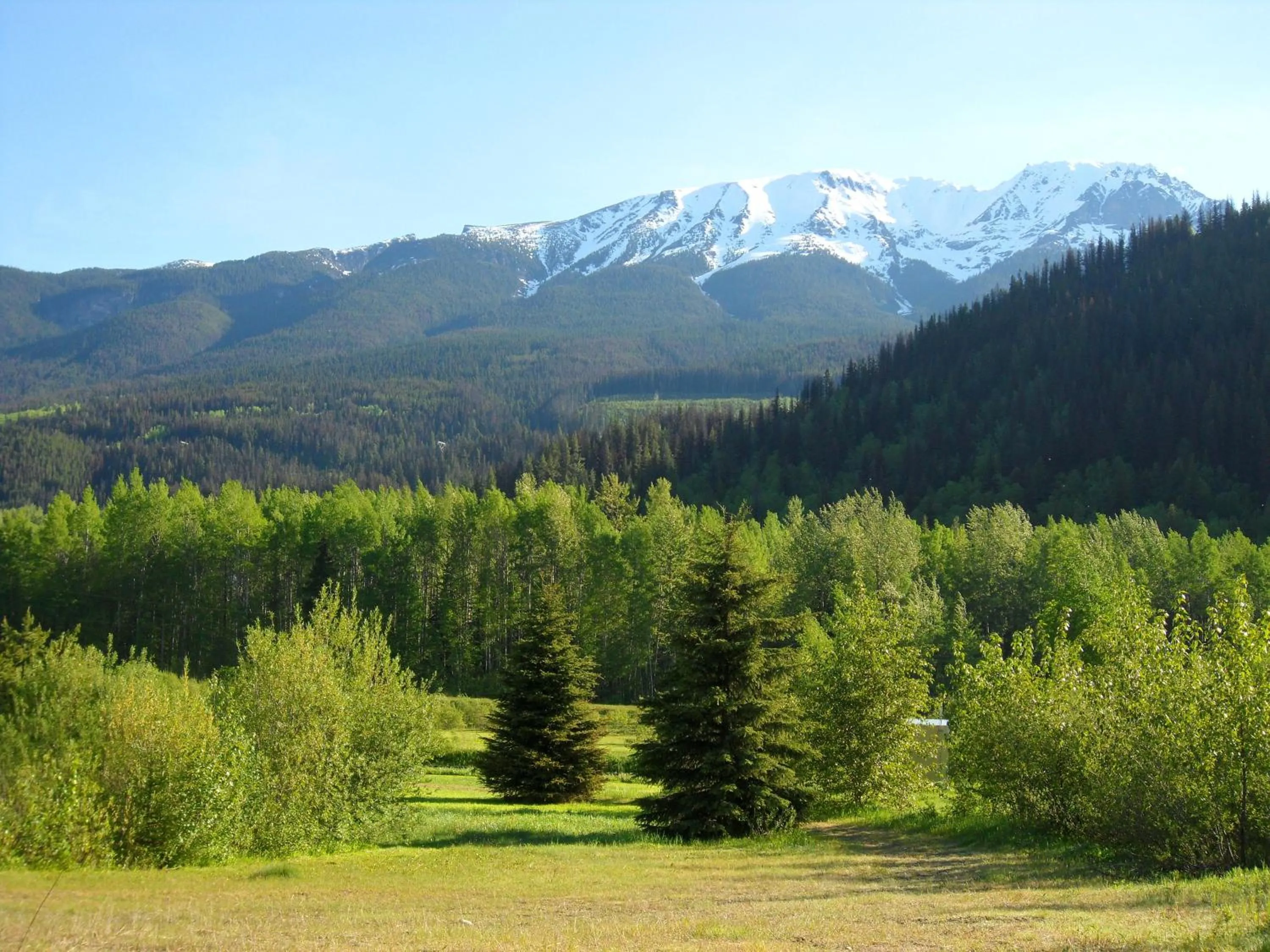 Area and facilities in Summit River Lodge & Campsites