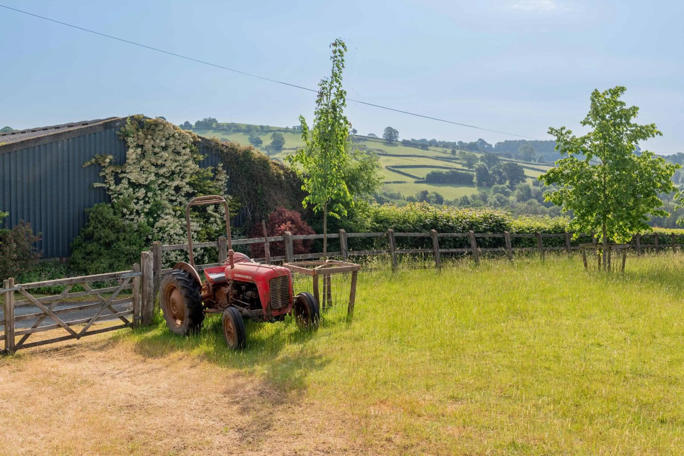View (from property/room) in Alltybrain Farm Cottages