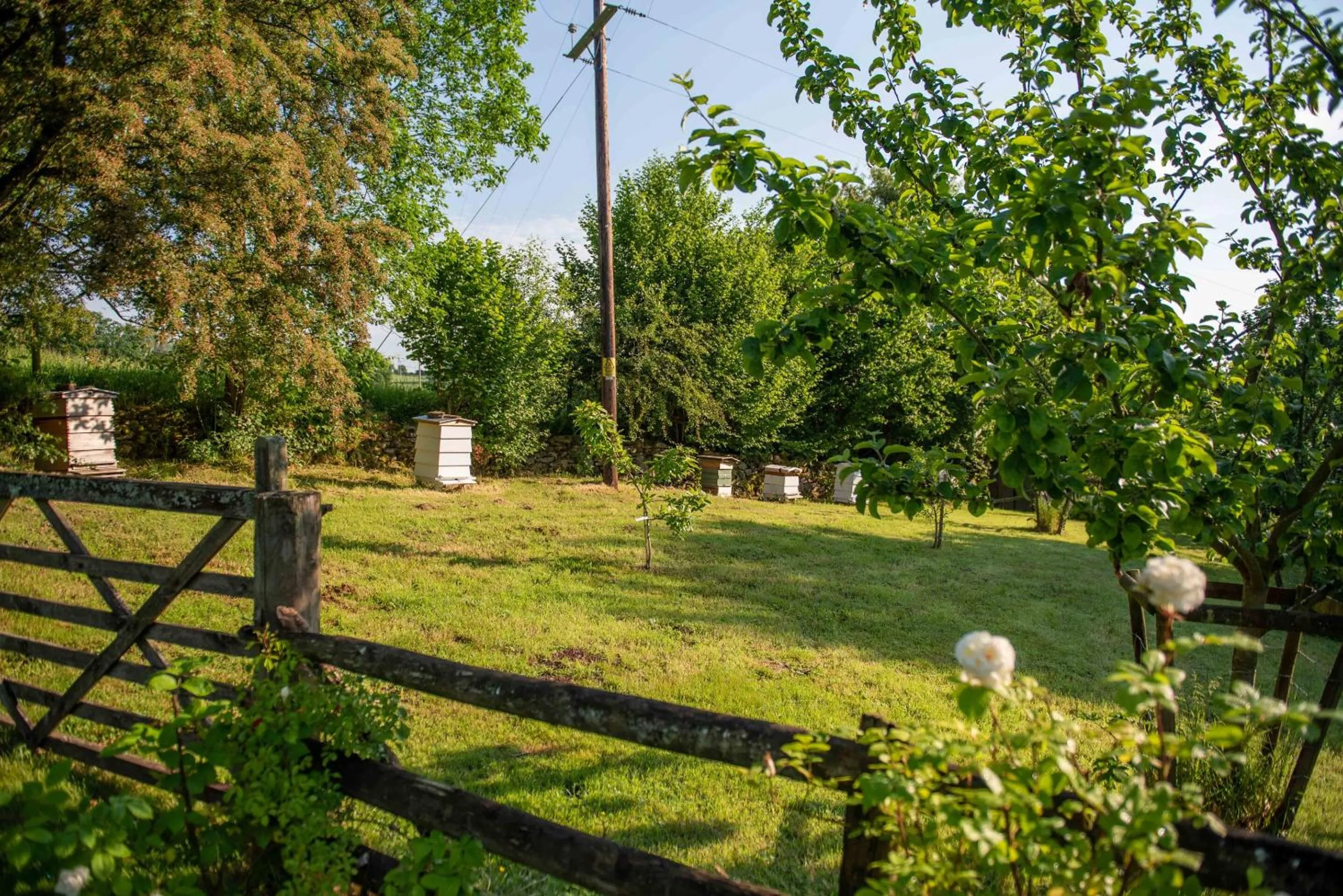 Natural landscape in Alltybrain Farm Cottages