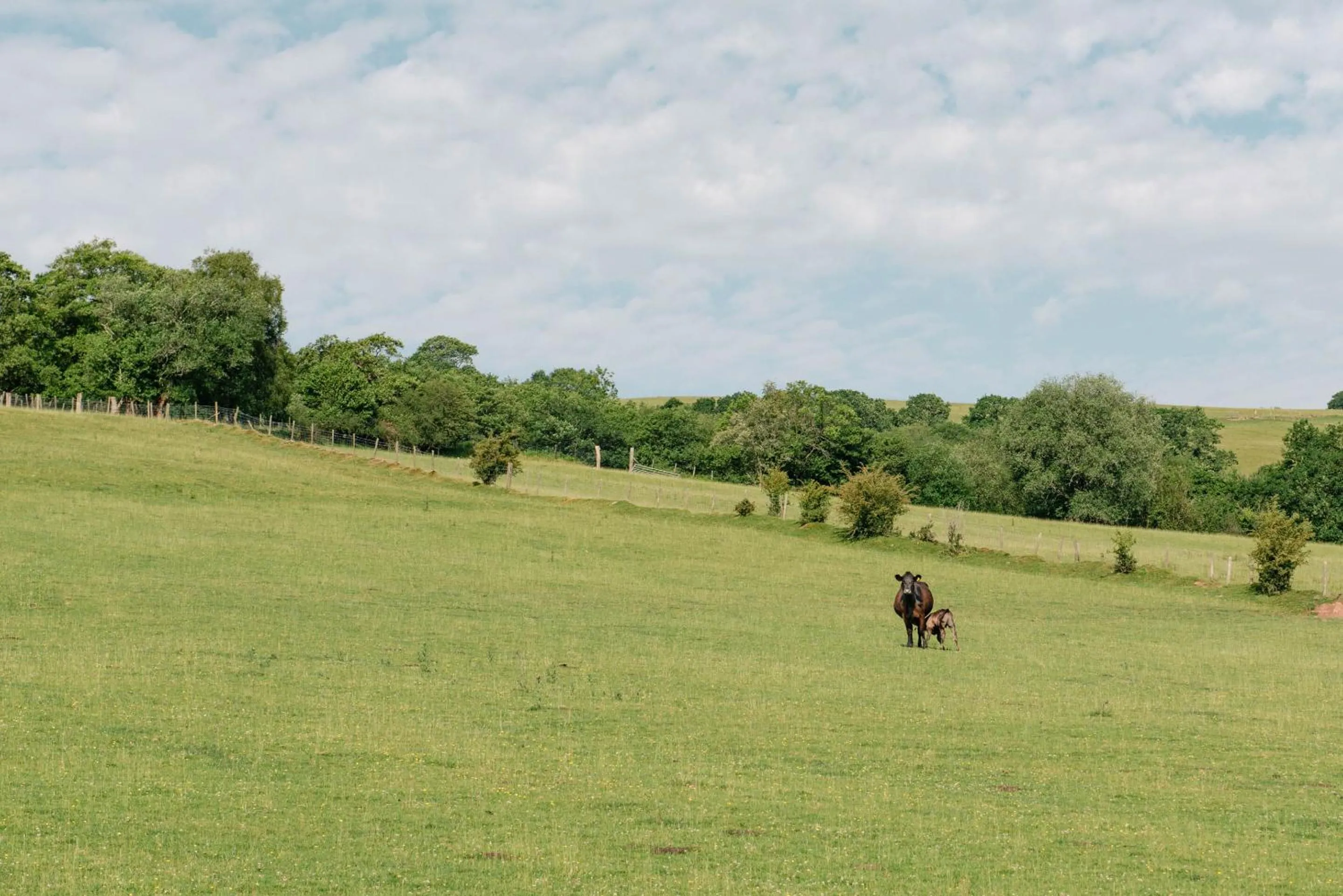 Other in Alltybrain Farm Cottages
