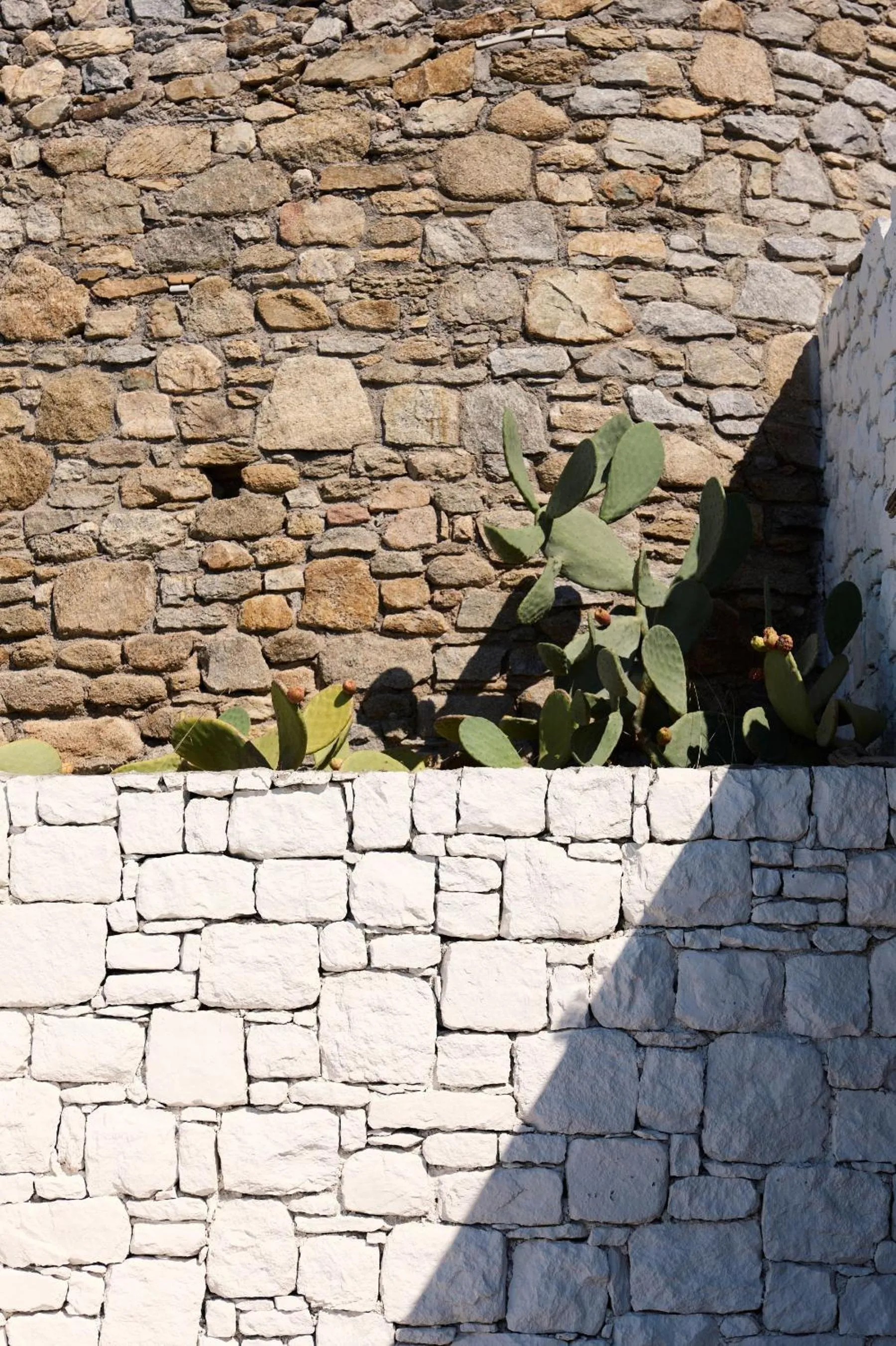 Property building in Mykonos Earth Suites