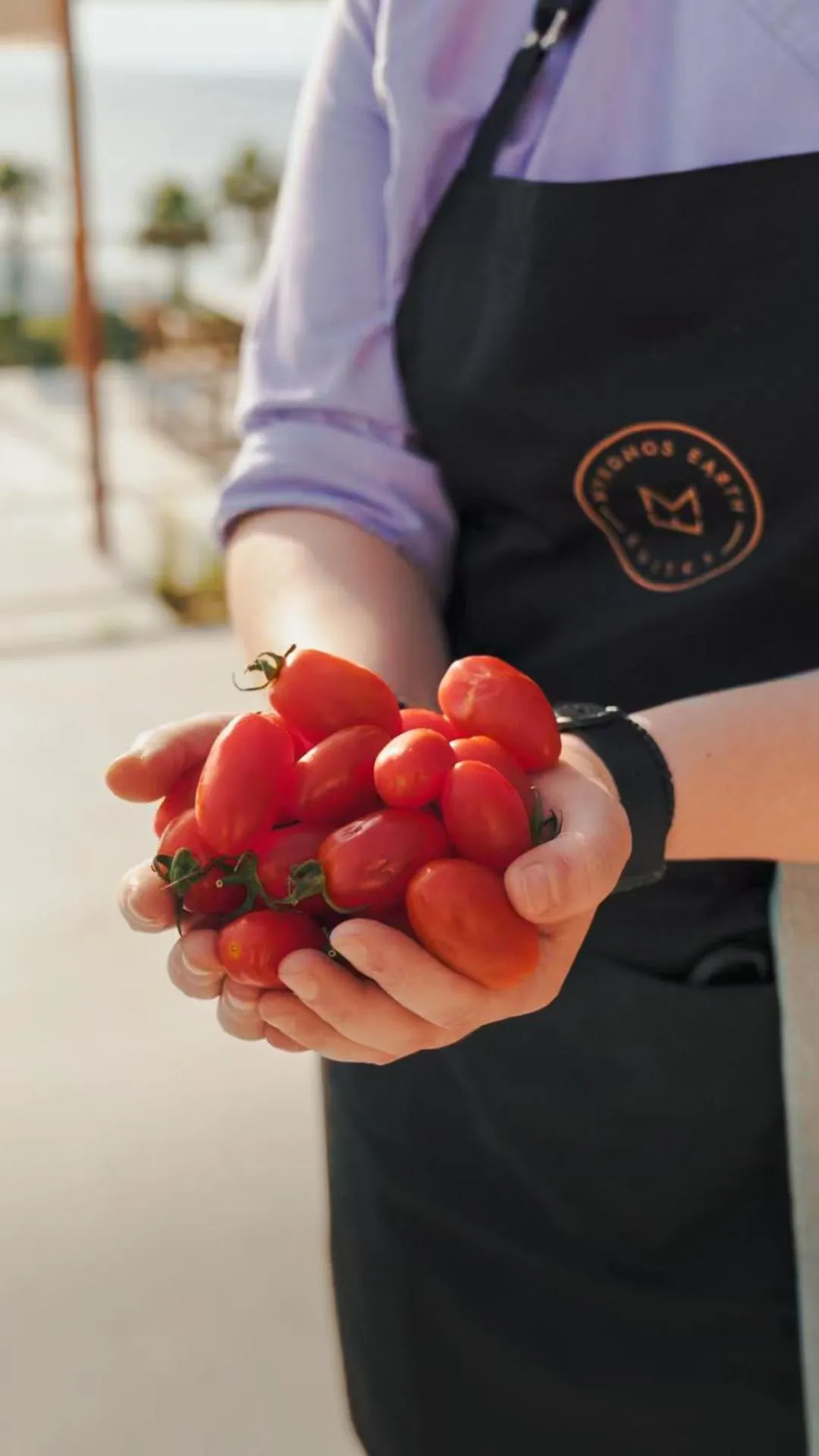 Food in Mykonos Earth Suites