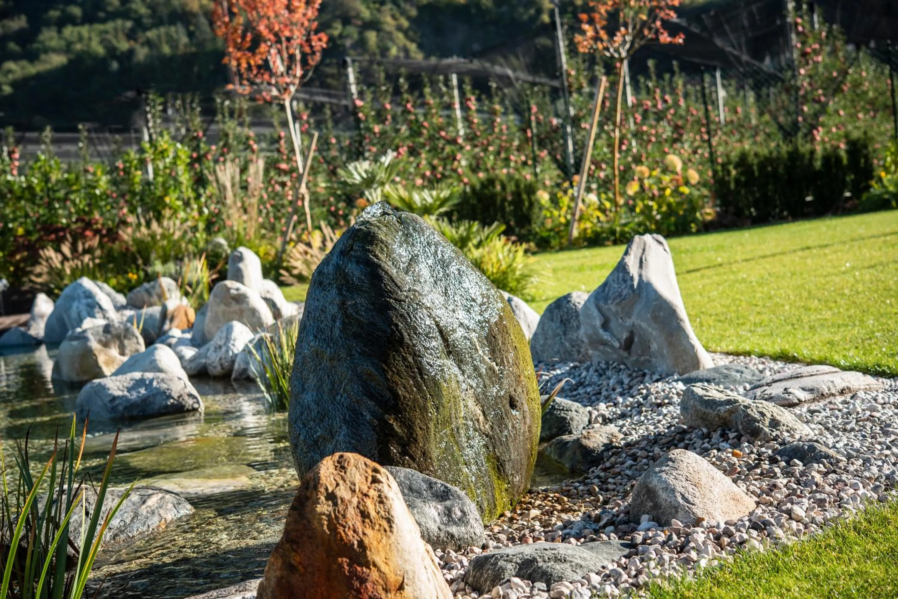 Garden in Apartments ANNY
